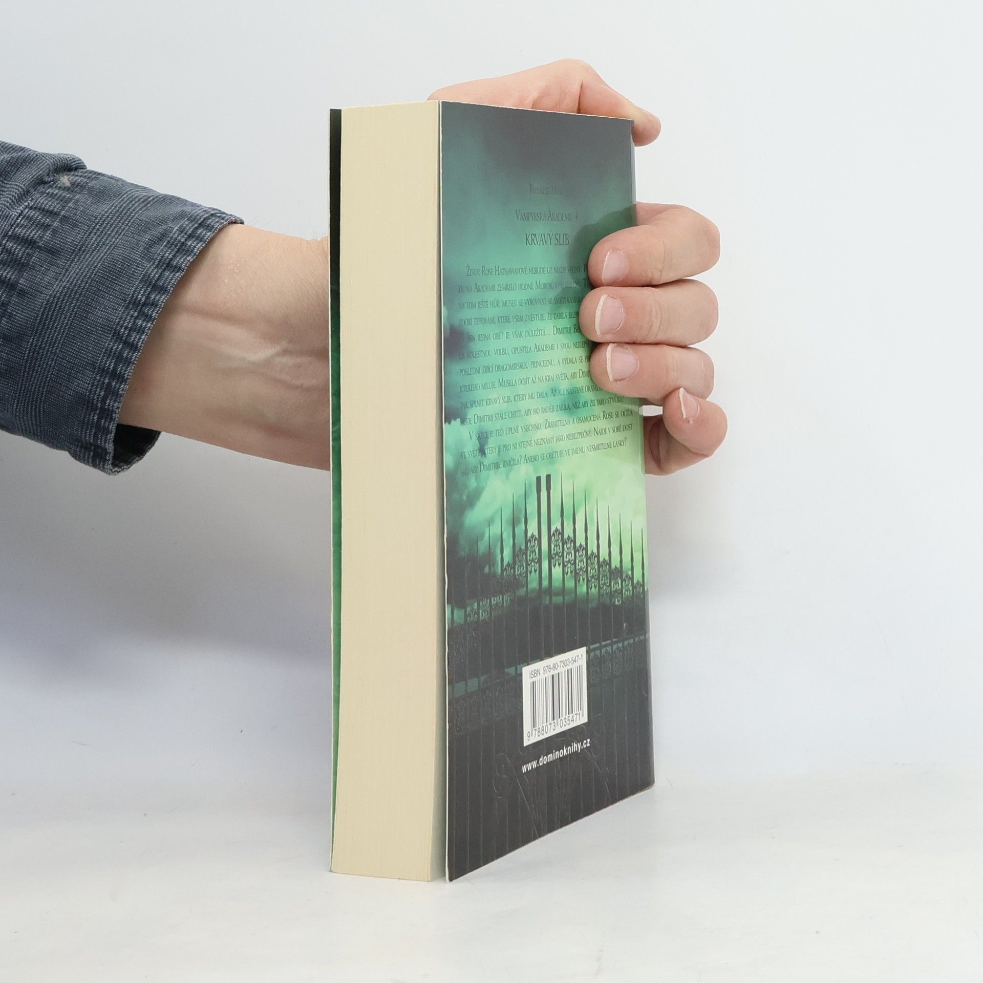 Richelle Mead Vampýrská akademie 4: Krvavý slib