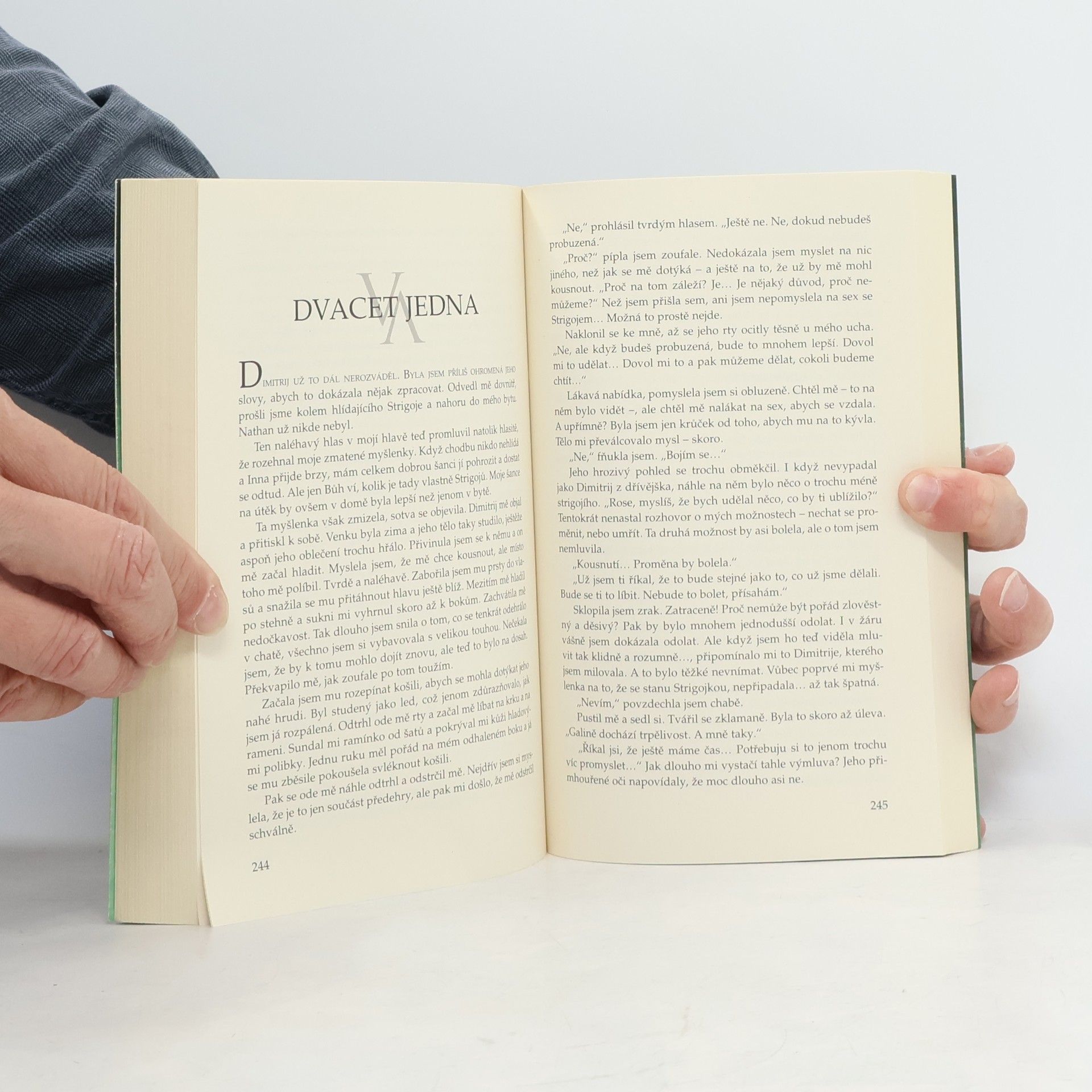 Richelle Mead Vampýrská akademie 4: Krvavý slib