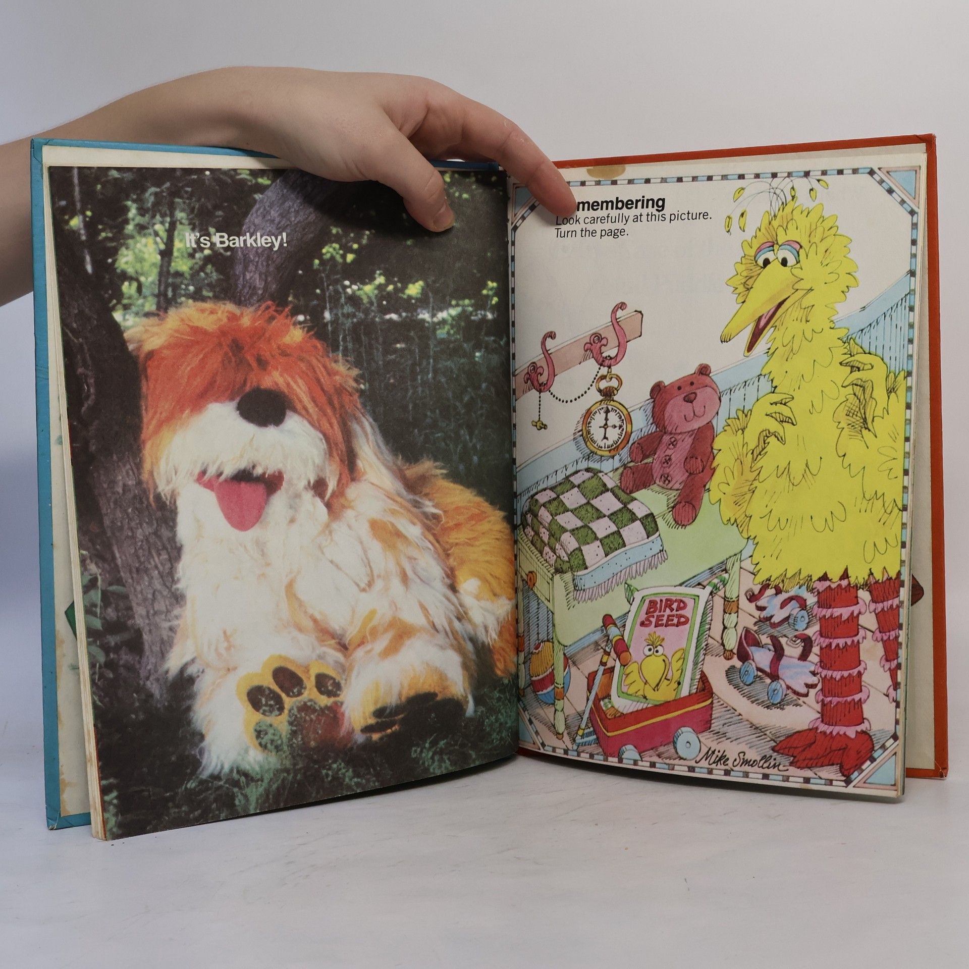 Various authors The Sesame Street Library 15