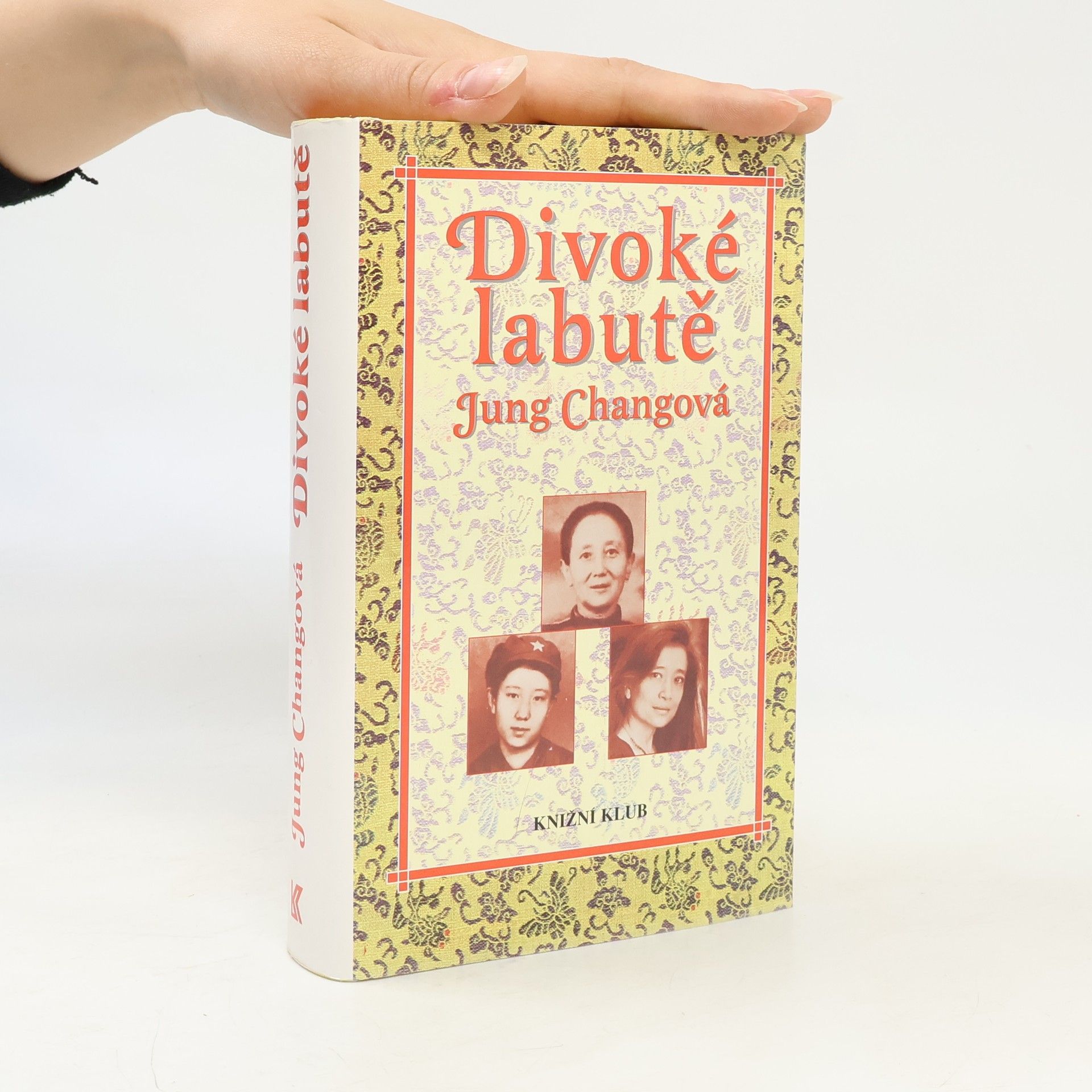 Divoké labutě