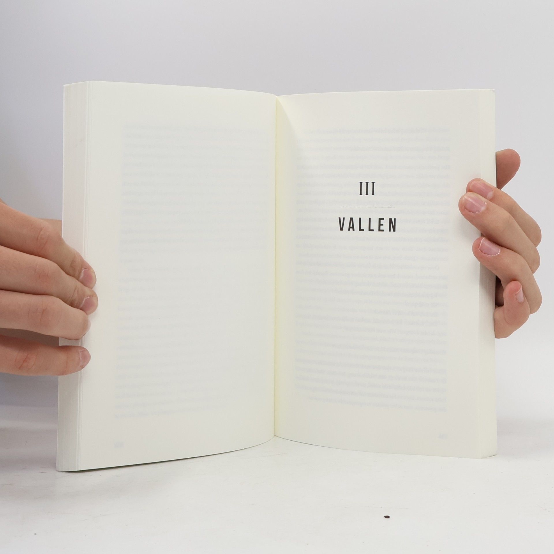 Menno Haanstra Fabio & Julius: het jongensboek van Fabio Jakobsen en Julius van den Berg