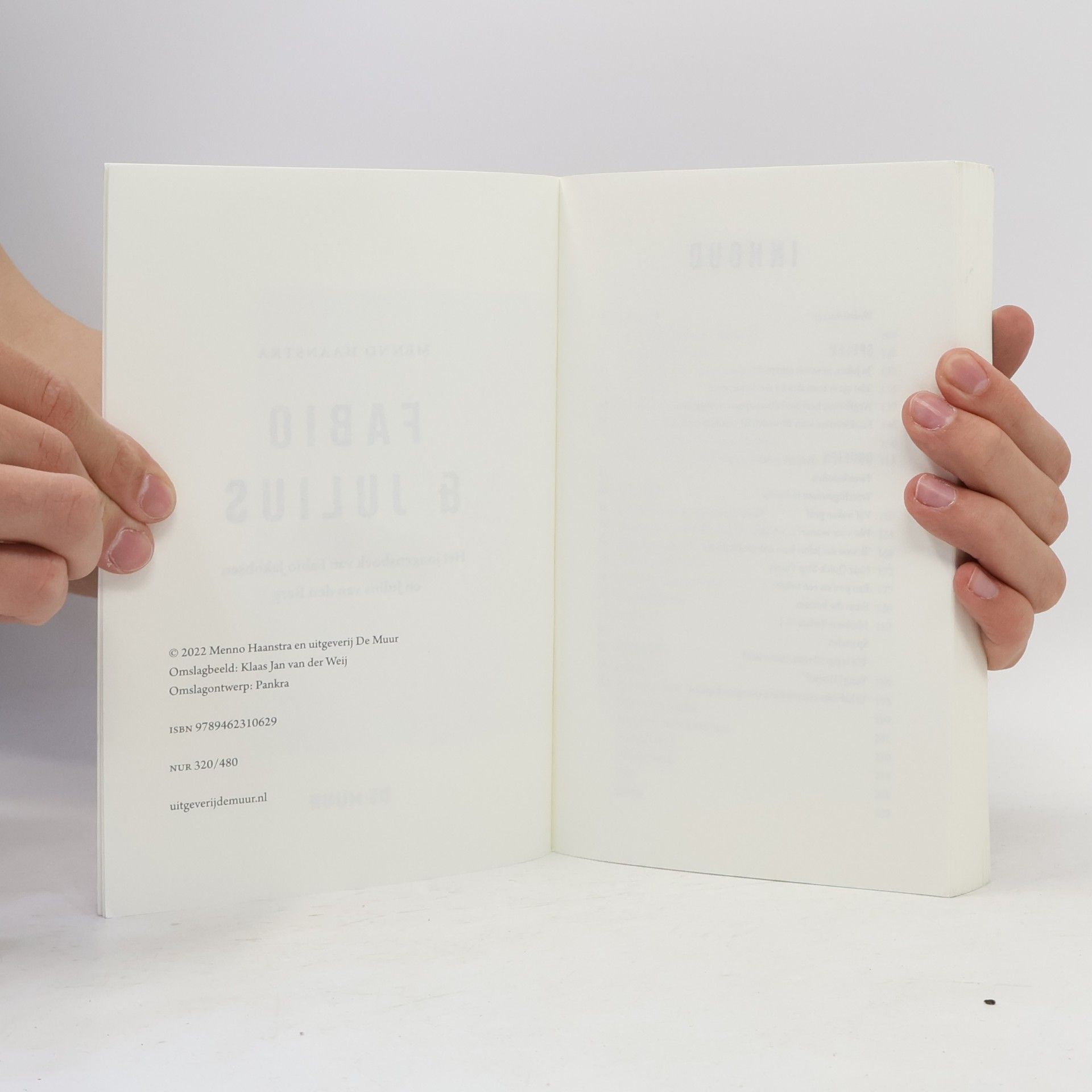 Menno Haanstra Fabio & Julius: het jongensboek van Fabio Jakobsen en Julius van den Berg