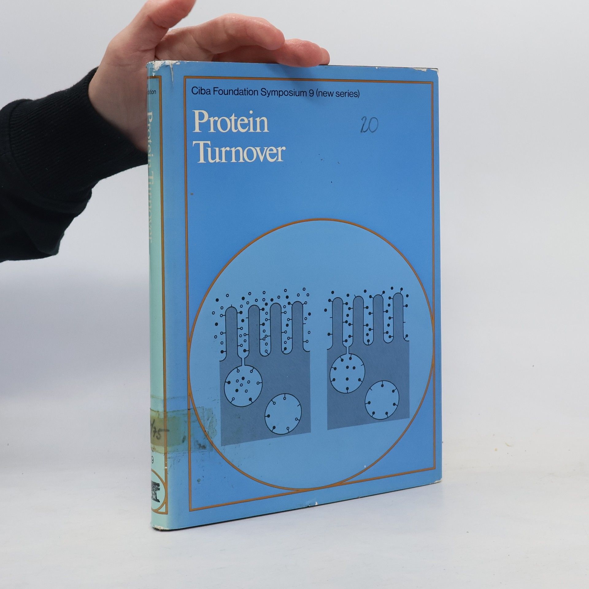 E. Anthony Jones Protein Turnover