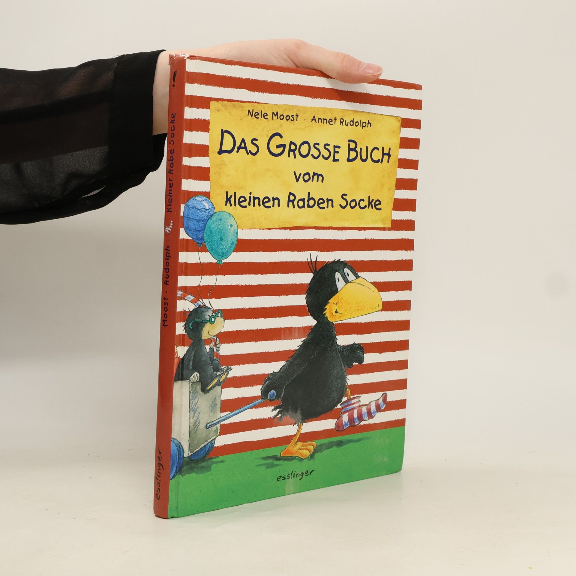 Annet Rudolph Das große Buch vom kleinen Raben Socke