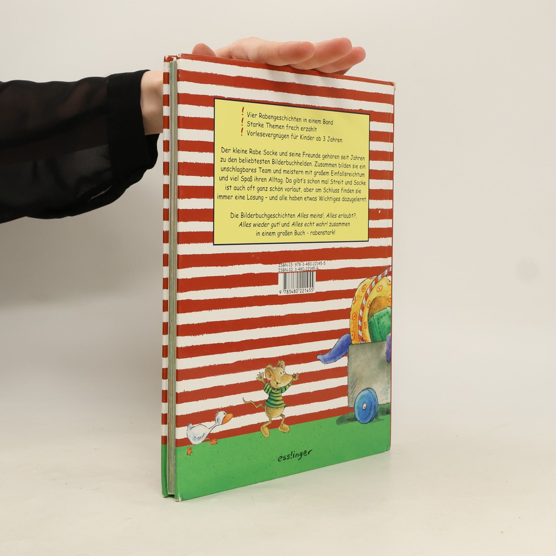 Nele Moost Das große Buch vom kleinen Raben Socke