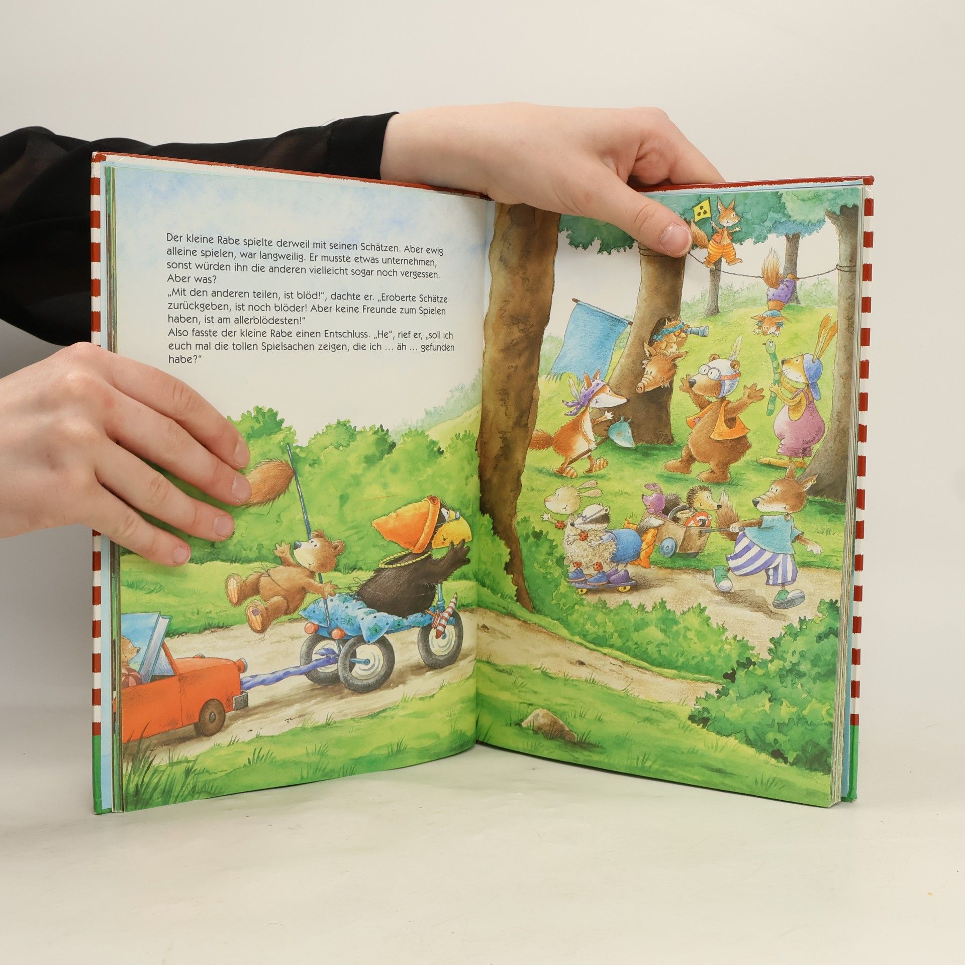 Nele Moost Das große Buch vom kleinen Raben Socke