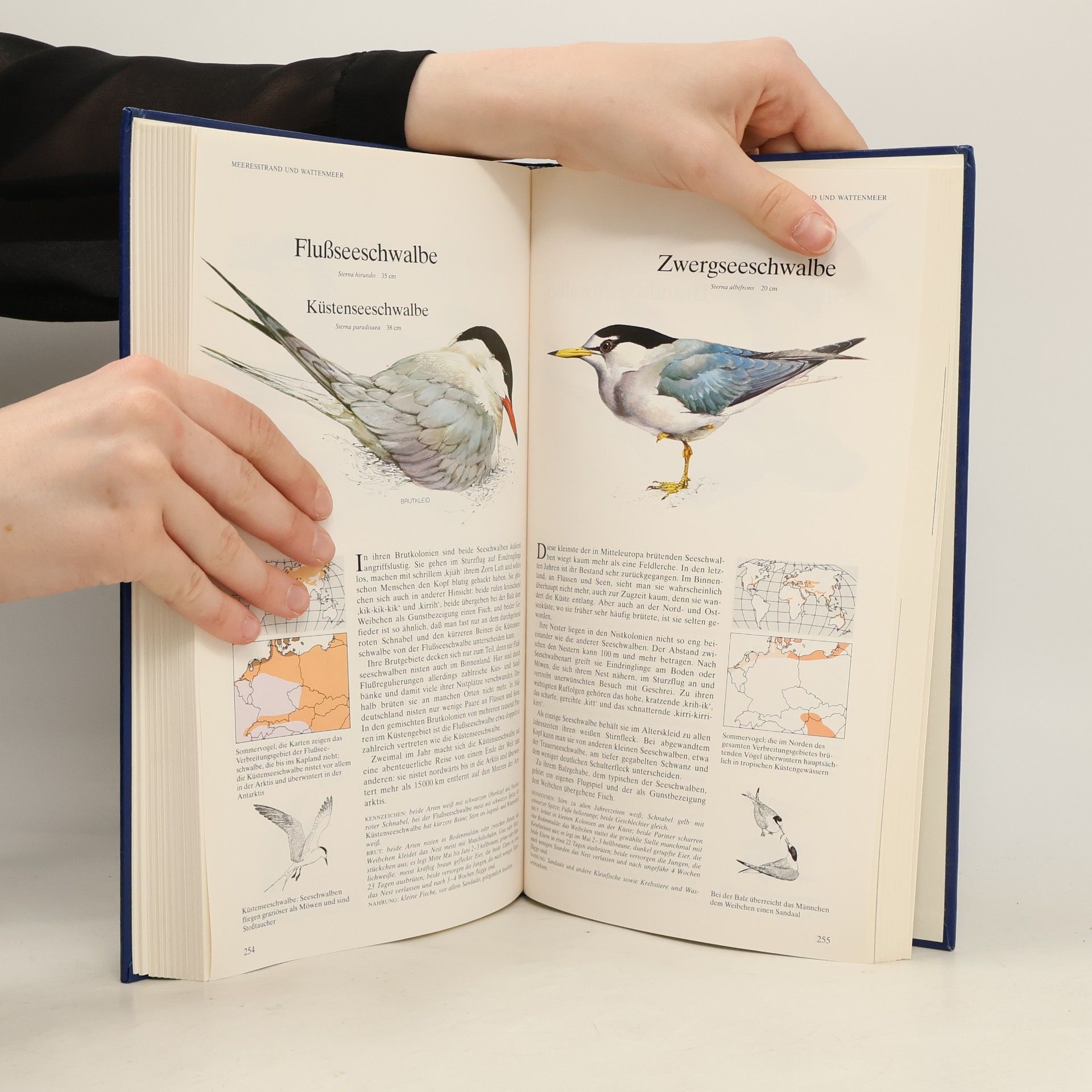 Richard Sidney Buch der Vogelwelt. Mitteleuropa