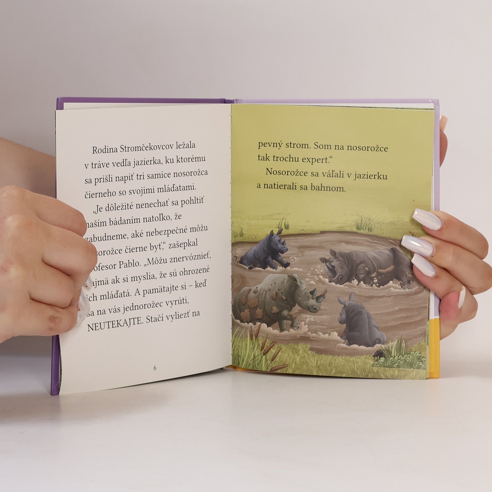 Cressida Cowell Dvojčata pronásledují nosorožce
