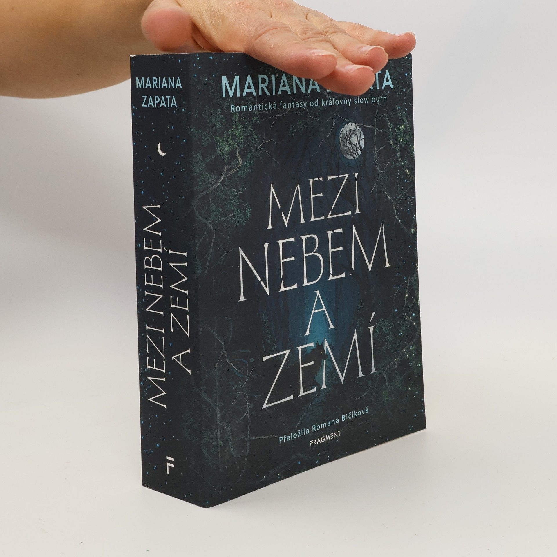 Mezi nebem a zemí