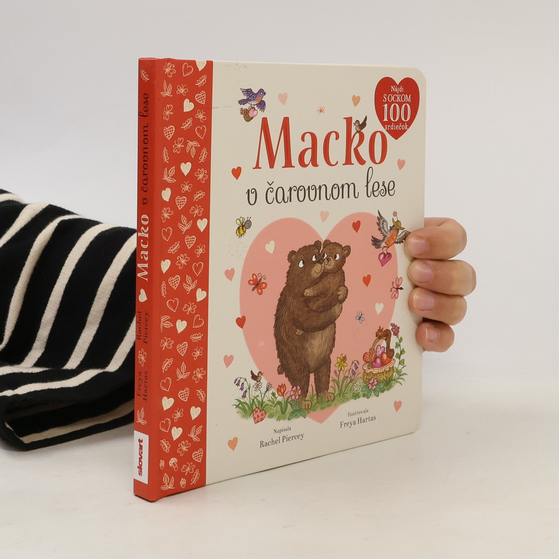 Macko v čarovnom lese