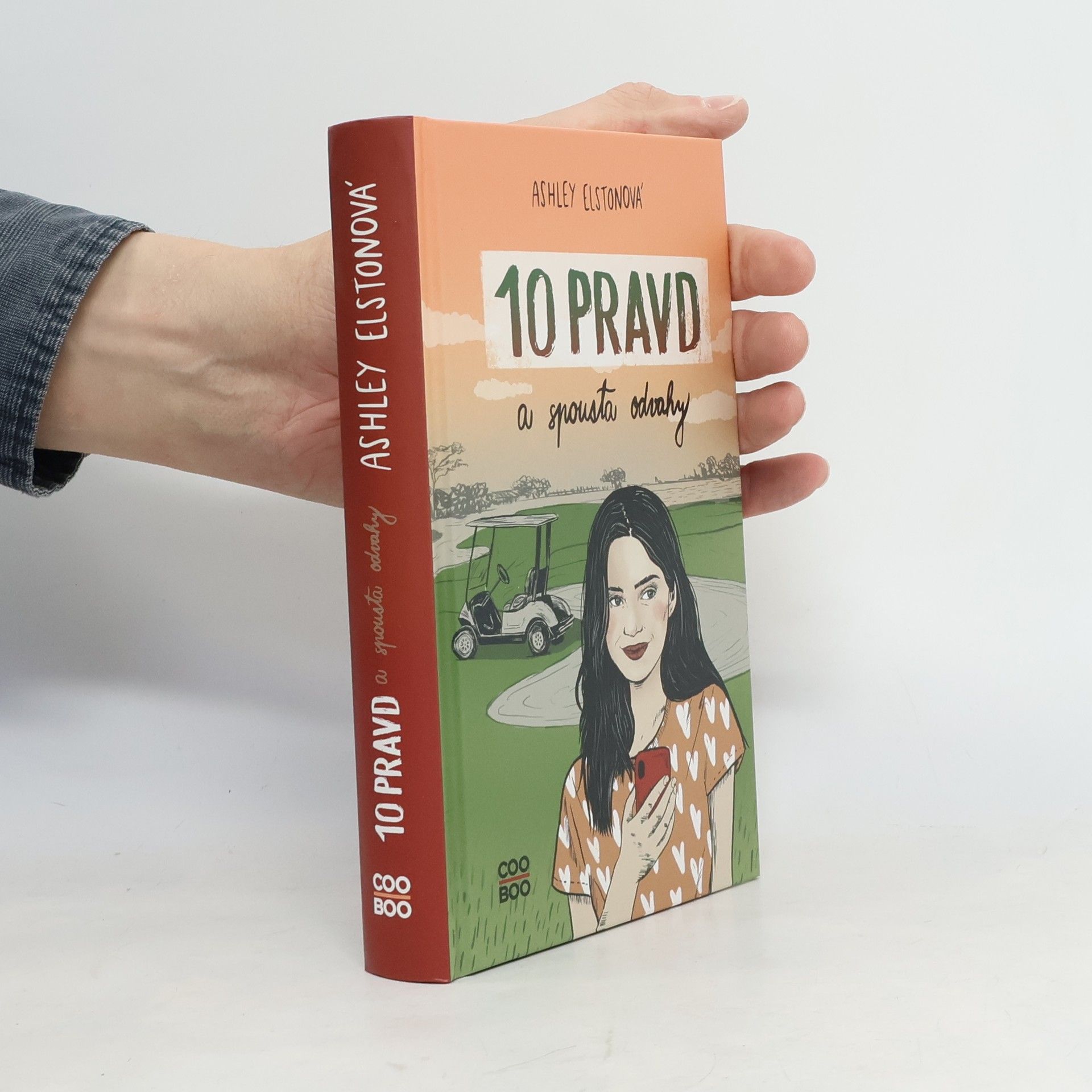 Ashley Elston 10 pravd a spousta odvahy