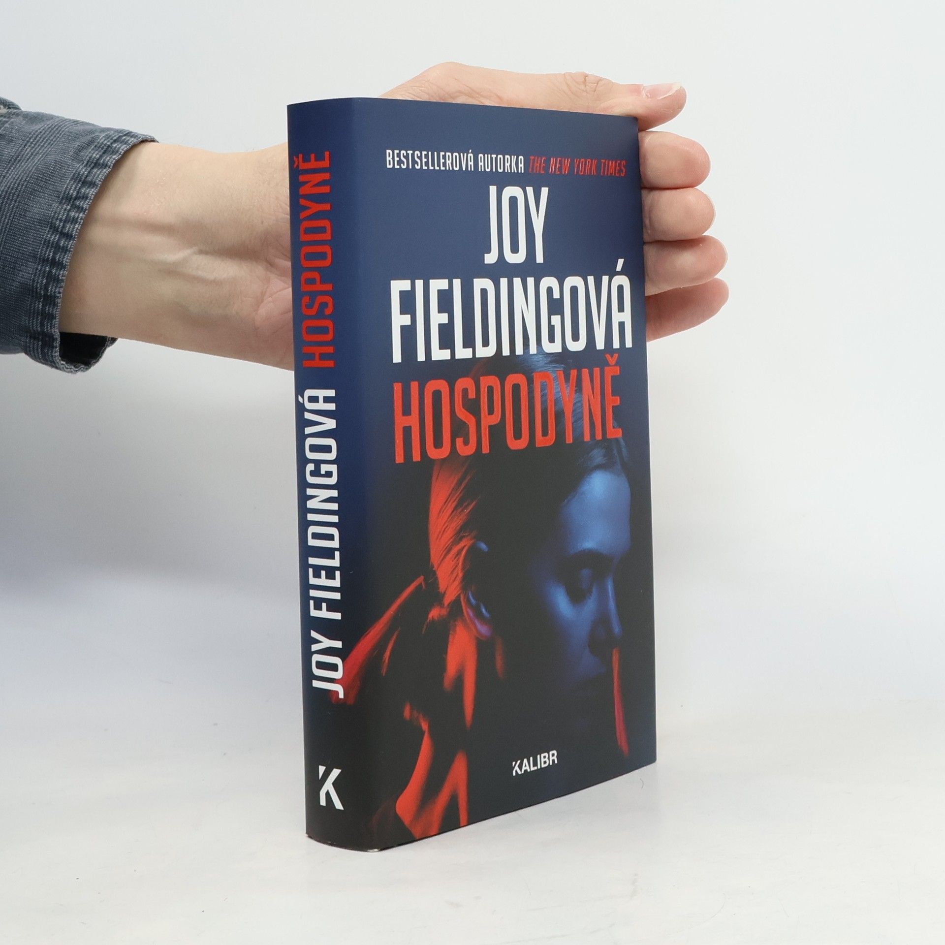 Joy Fielding Hospodyně