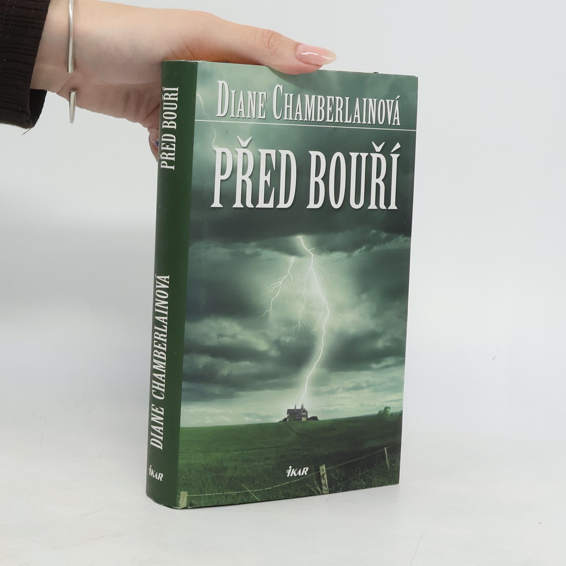 Diane Chamberlain Před bouří