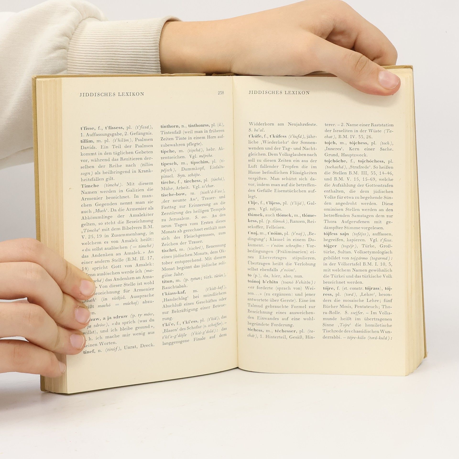 Salcia Landmann Jiddisch. Abenteuer einer Sprache