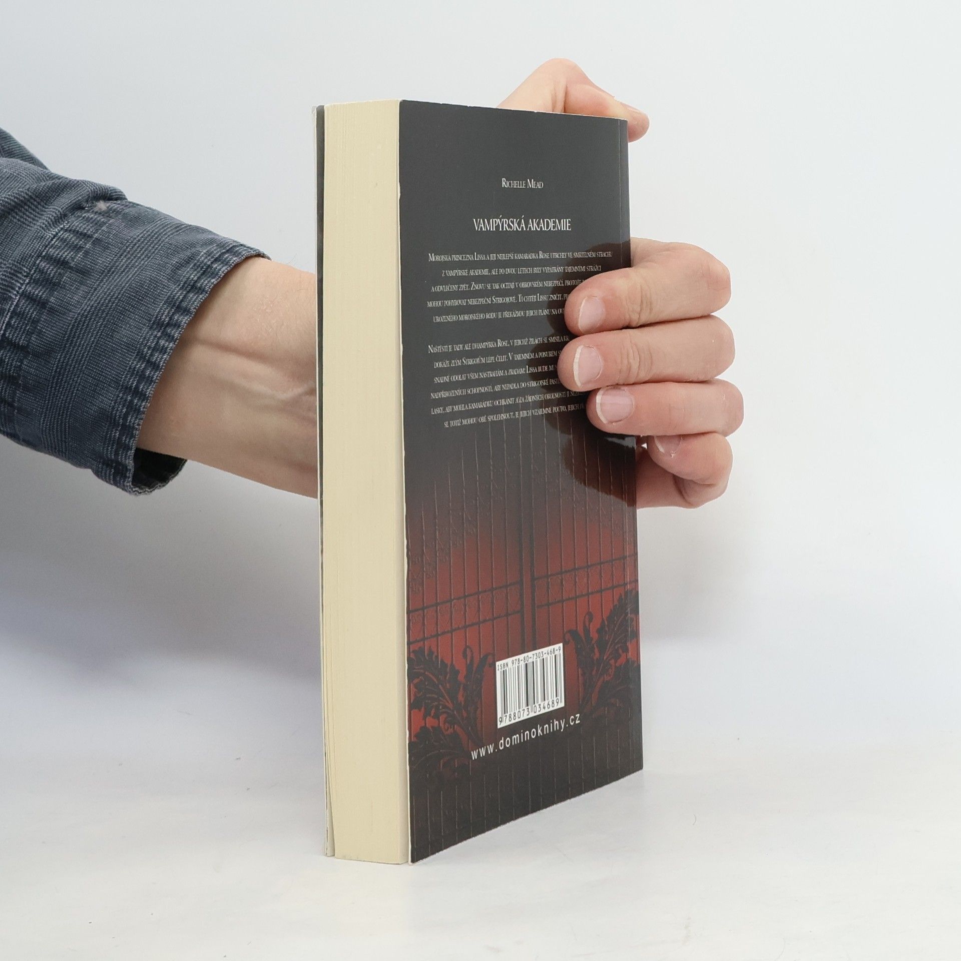 Richelle Mead Vampýrská akademie