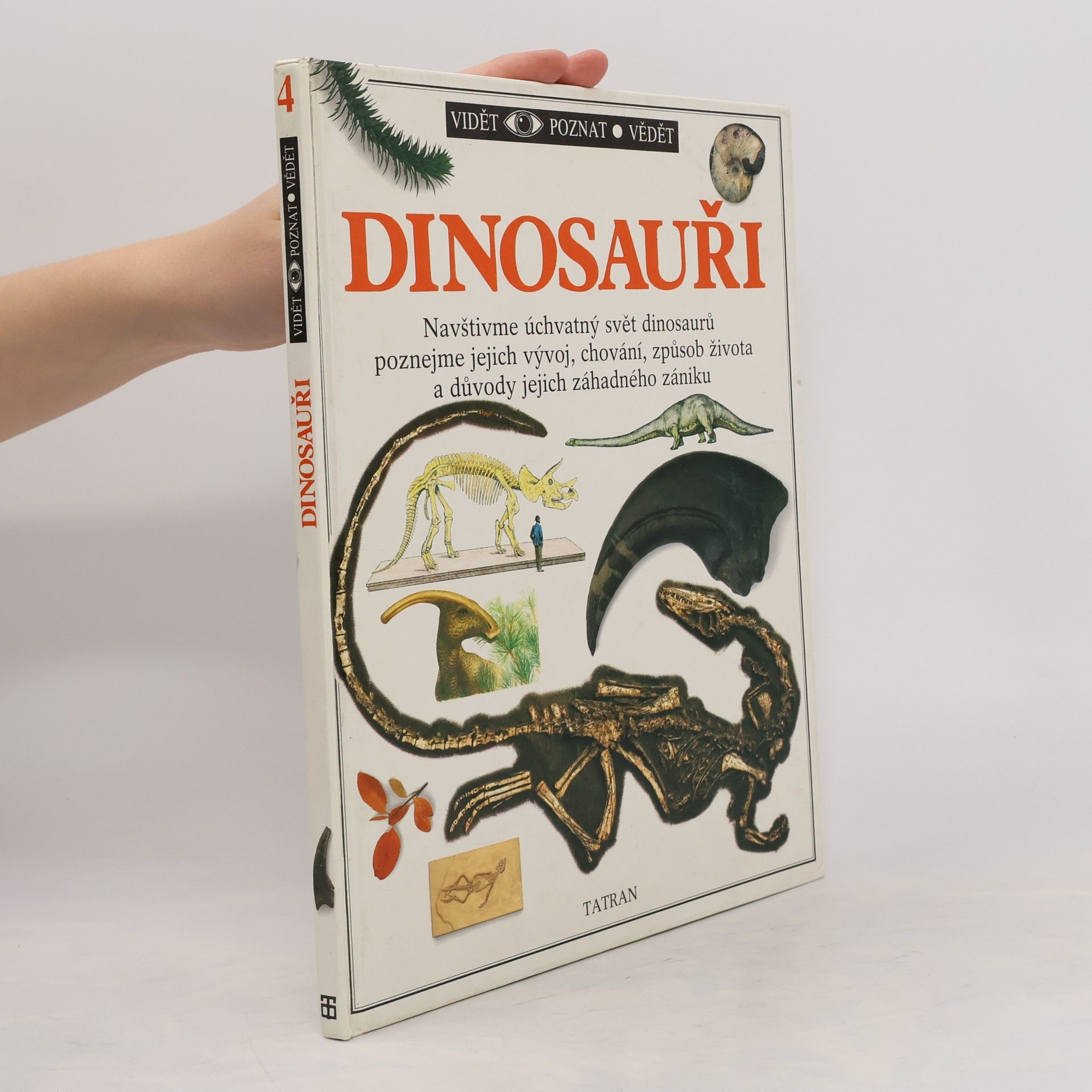 Kolektiv autorů Dinosauři