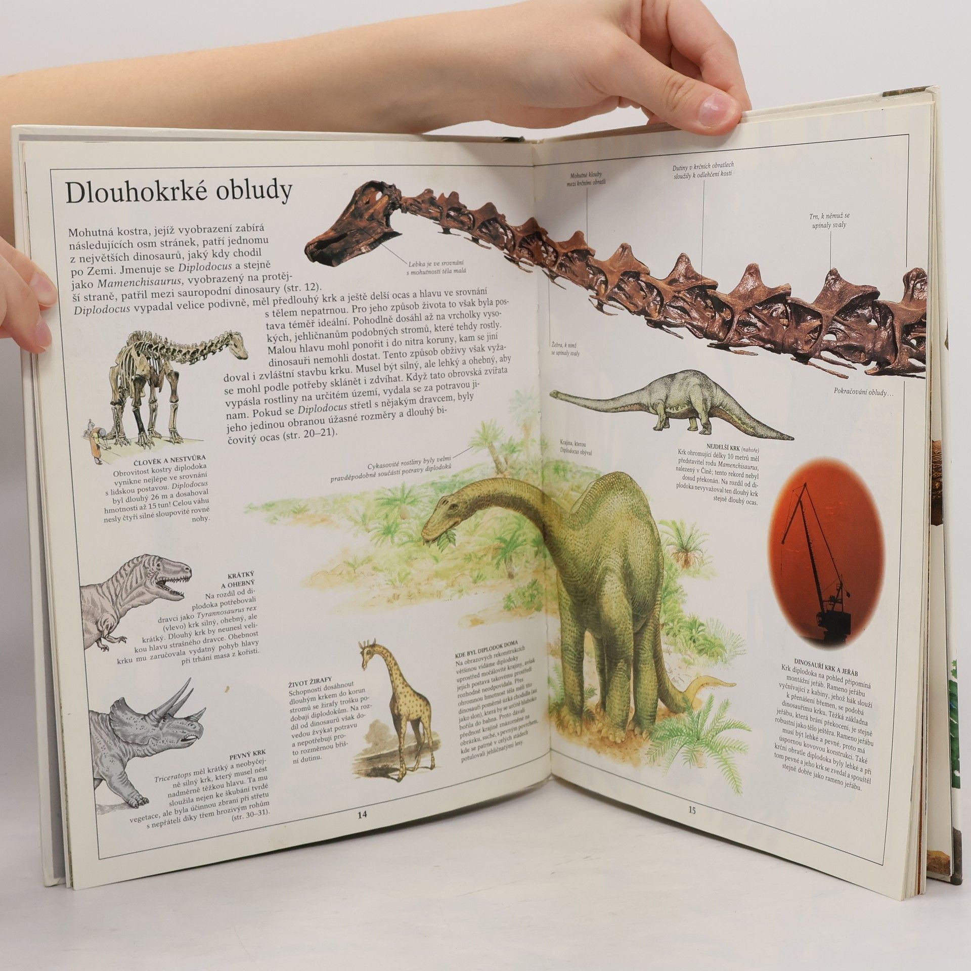 Kolektiv autorů Dinosauři