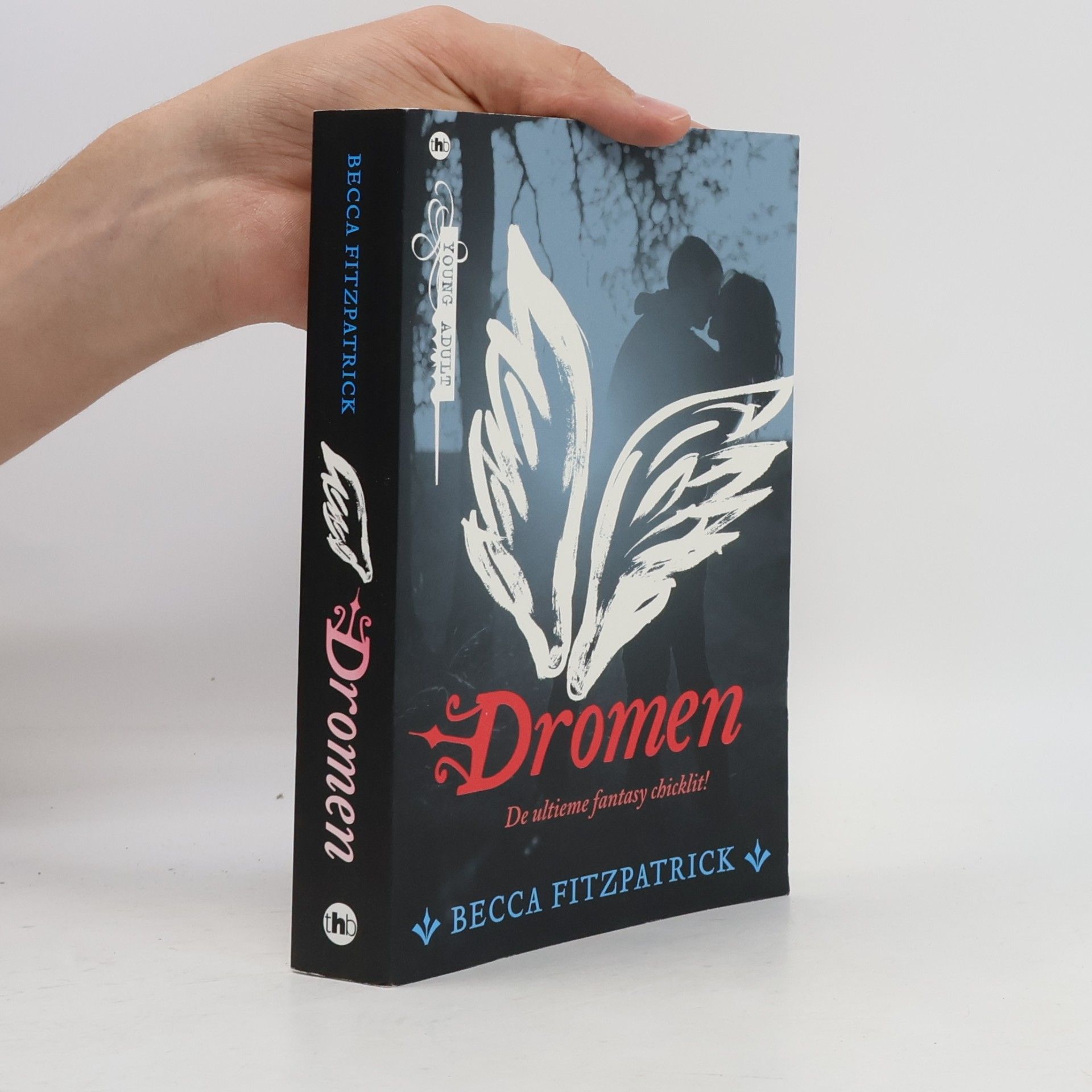 Elsbeth Wittwer Dromen