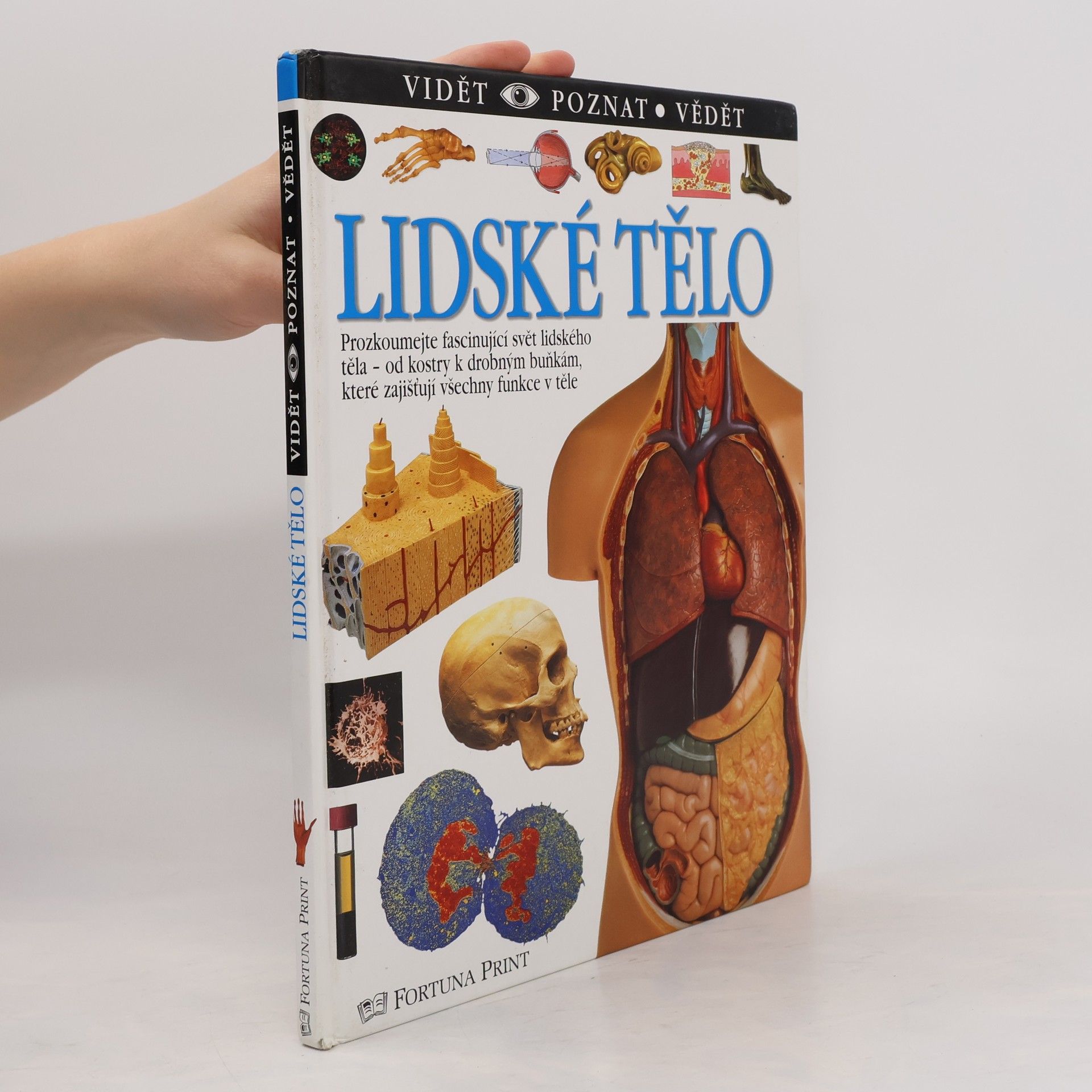 Steve Parker Lidské tělo