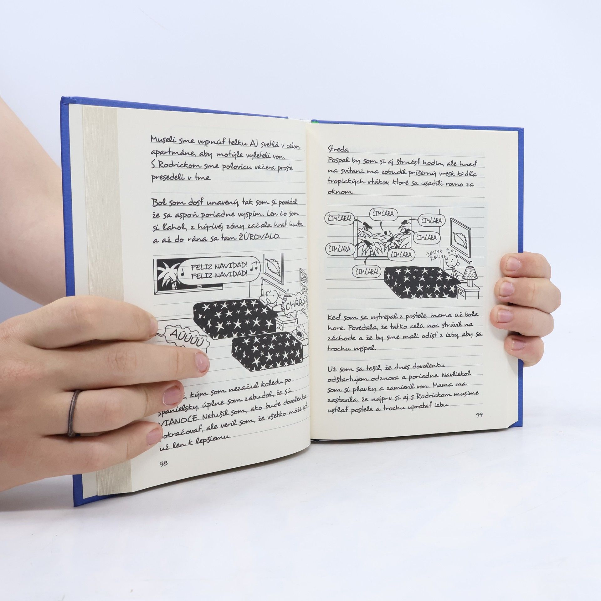 Jeff Kinney Denník odvážneho bojka 12. Rodinný úlet