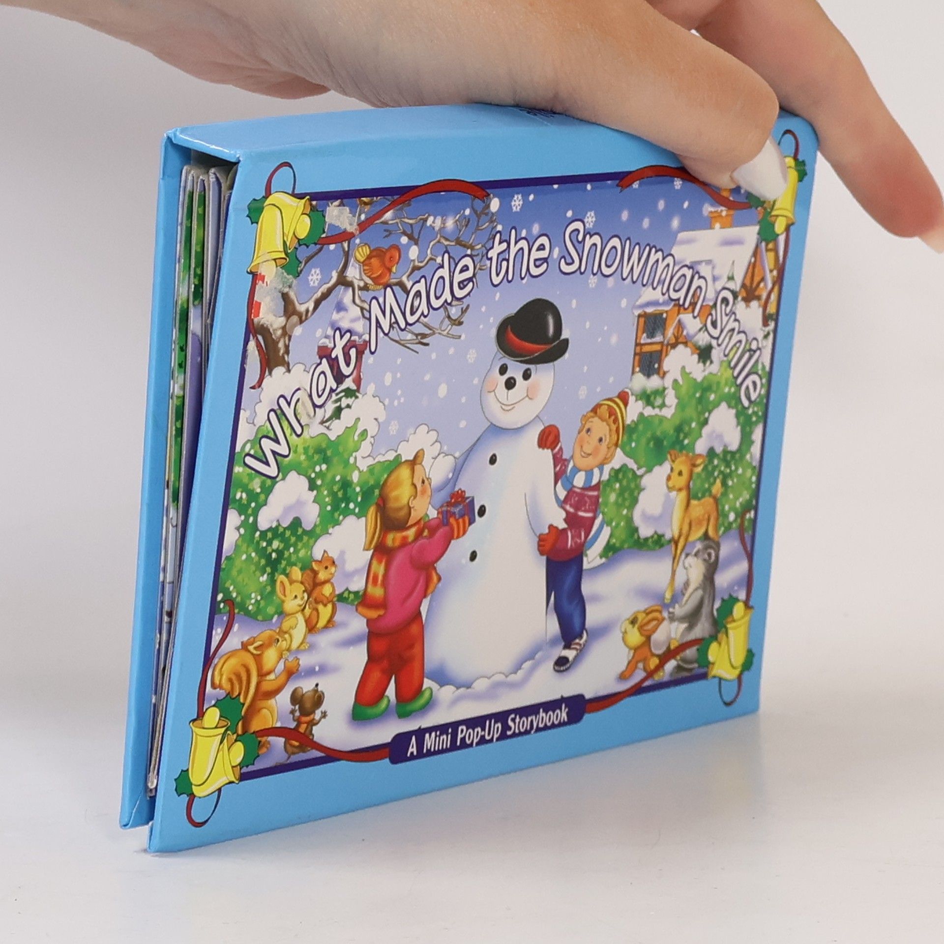 Kolektiv autorů What Made the Snowman Smile