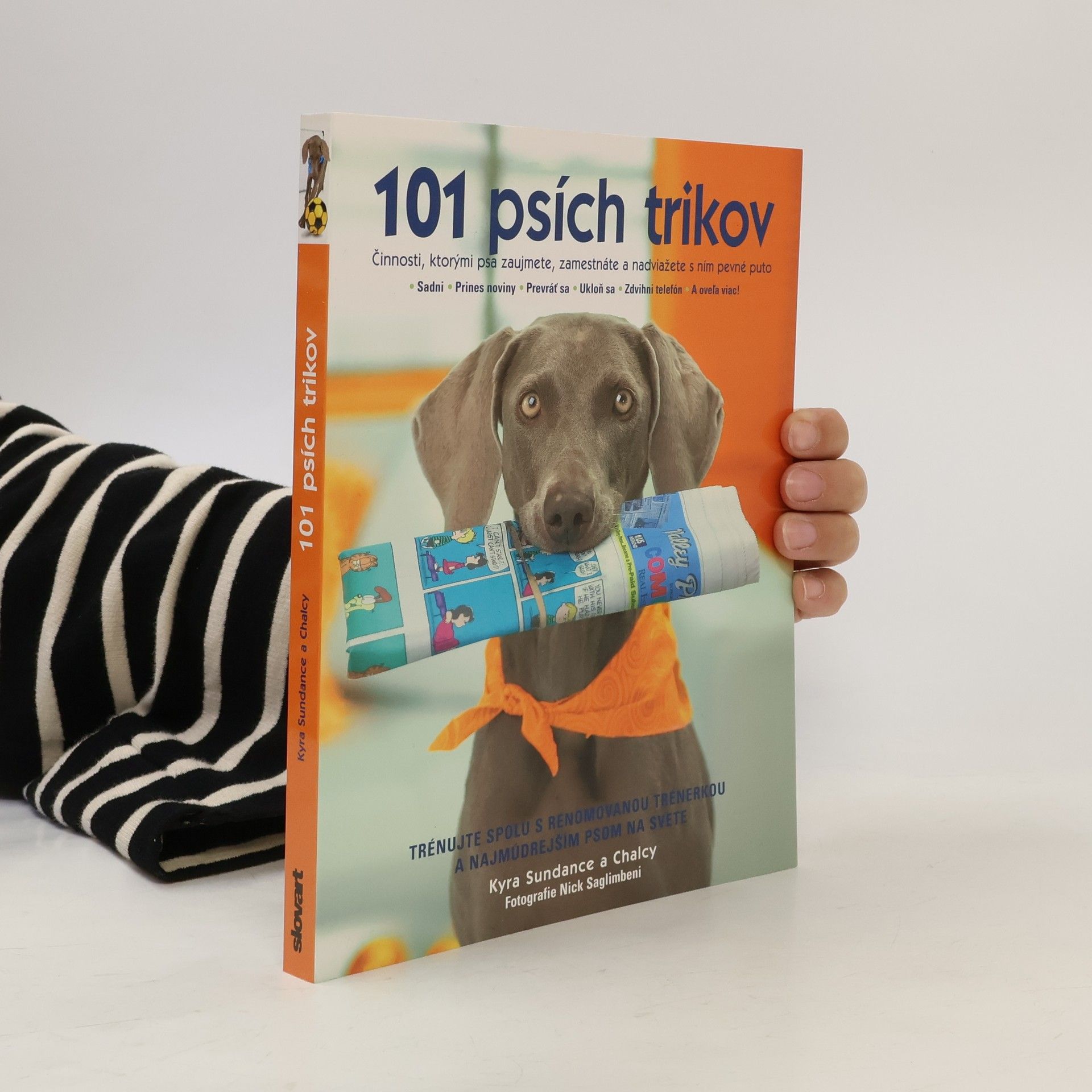 Kyra Sundance 101 psích trikov