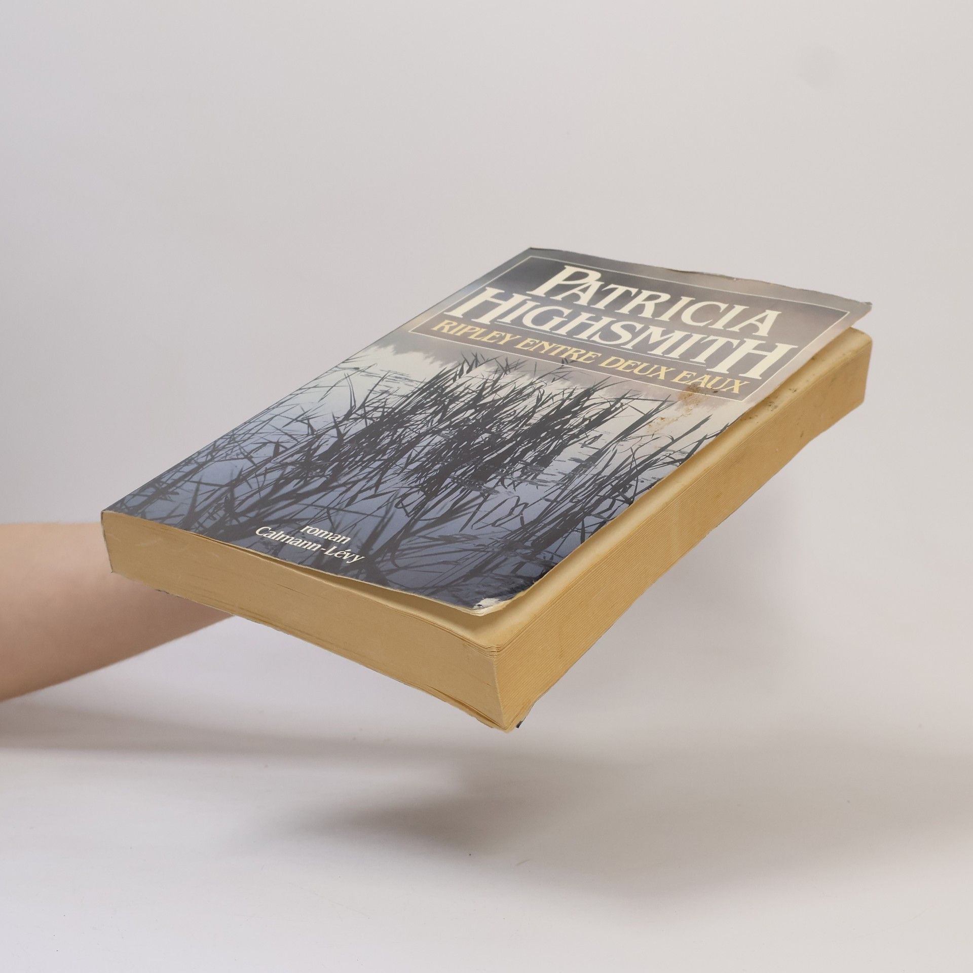 Patricia Highsmith Ripley entre deux eaux