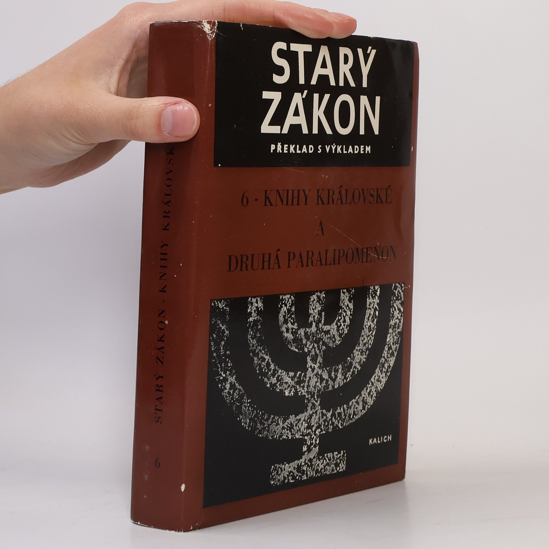 Autorenkollektiv Starý zákon 6. Knihy královské a druhá Paralipomenon