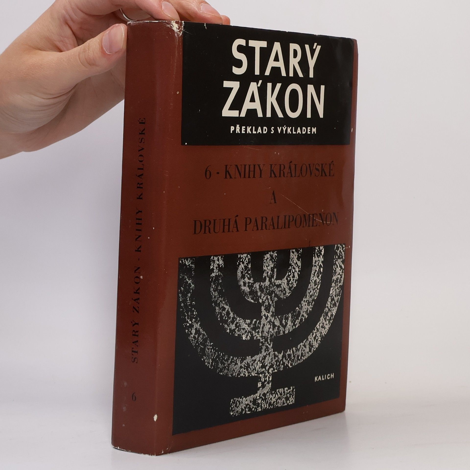 Autorenkollektiv Starý zákon 6. Knihy královské a druhá Paralipomenon