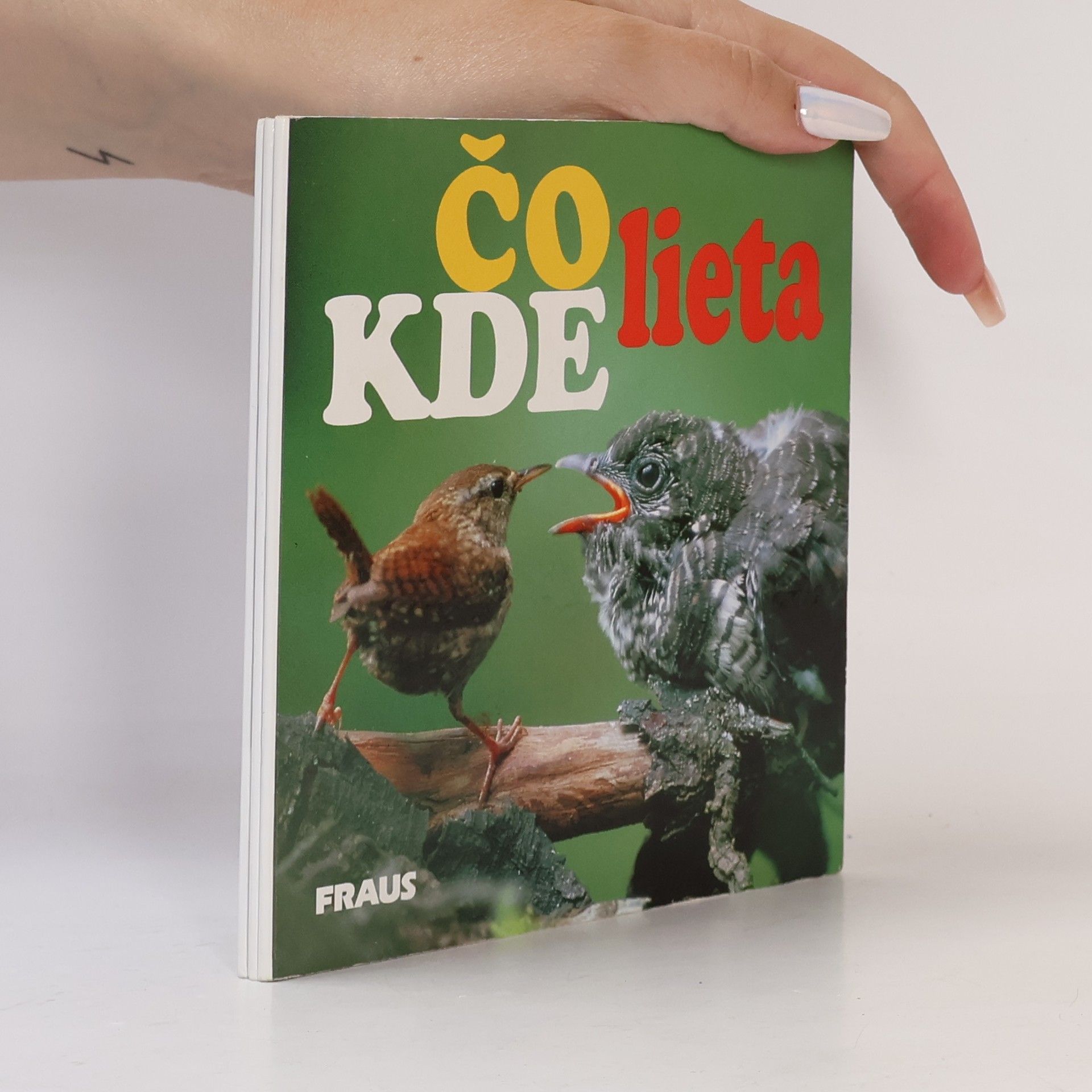 Dana Šedová Čo kde lieta