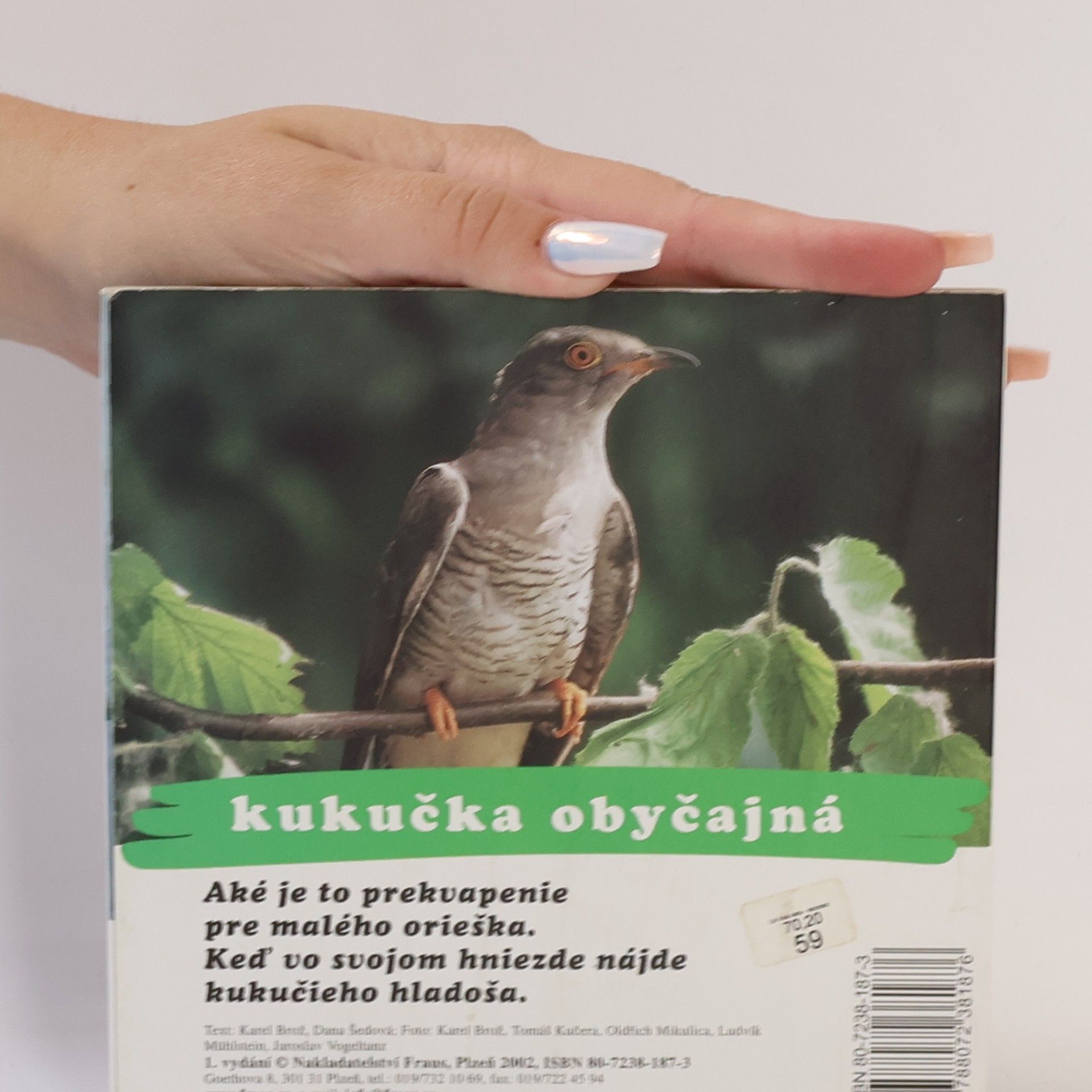 Karel Brož Čo kde lieta
