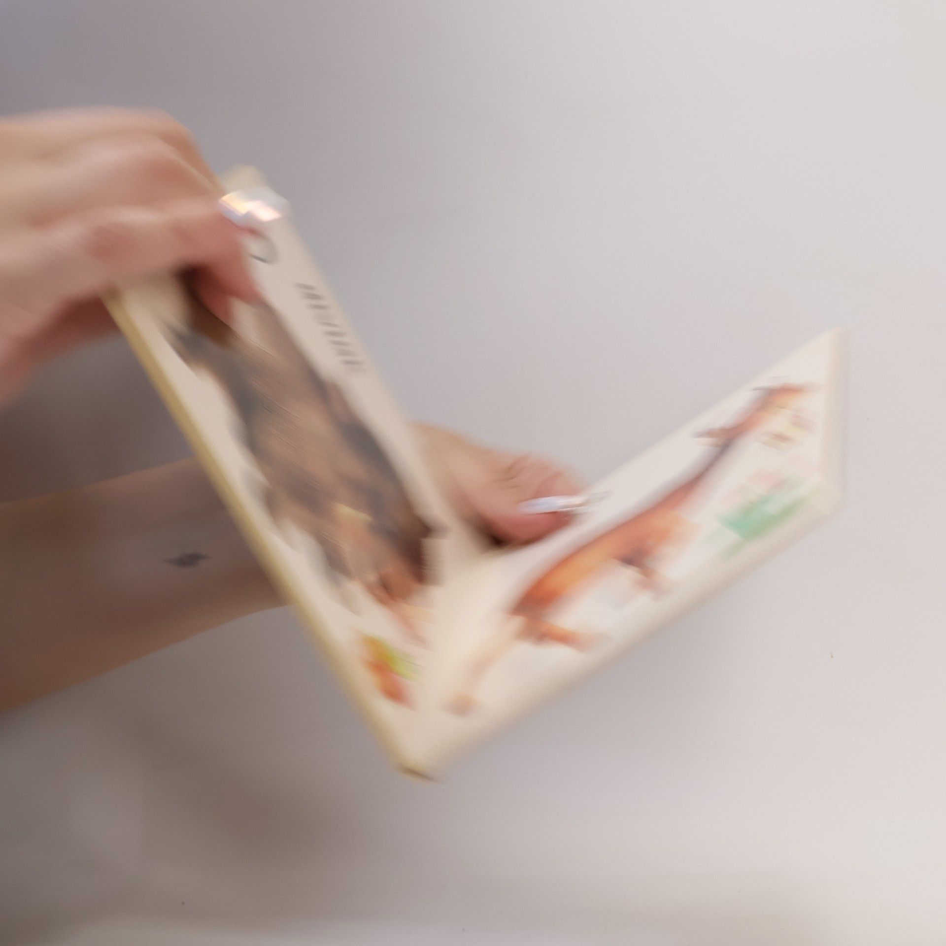 Kolektiv autorů V lese