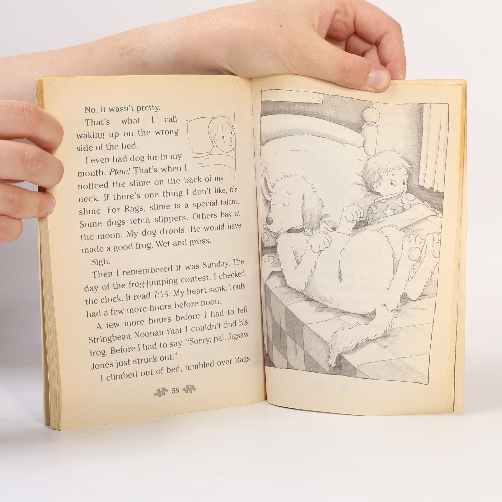 James Preller Jigsaw Jones Mystery - 27: The Case of the Frog-jumping Contest