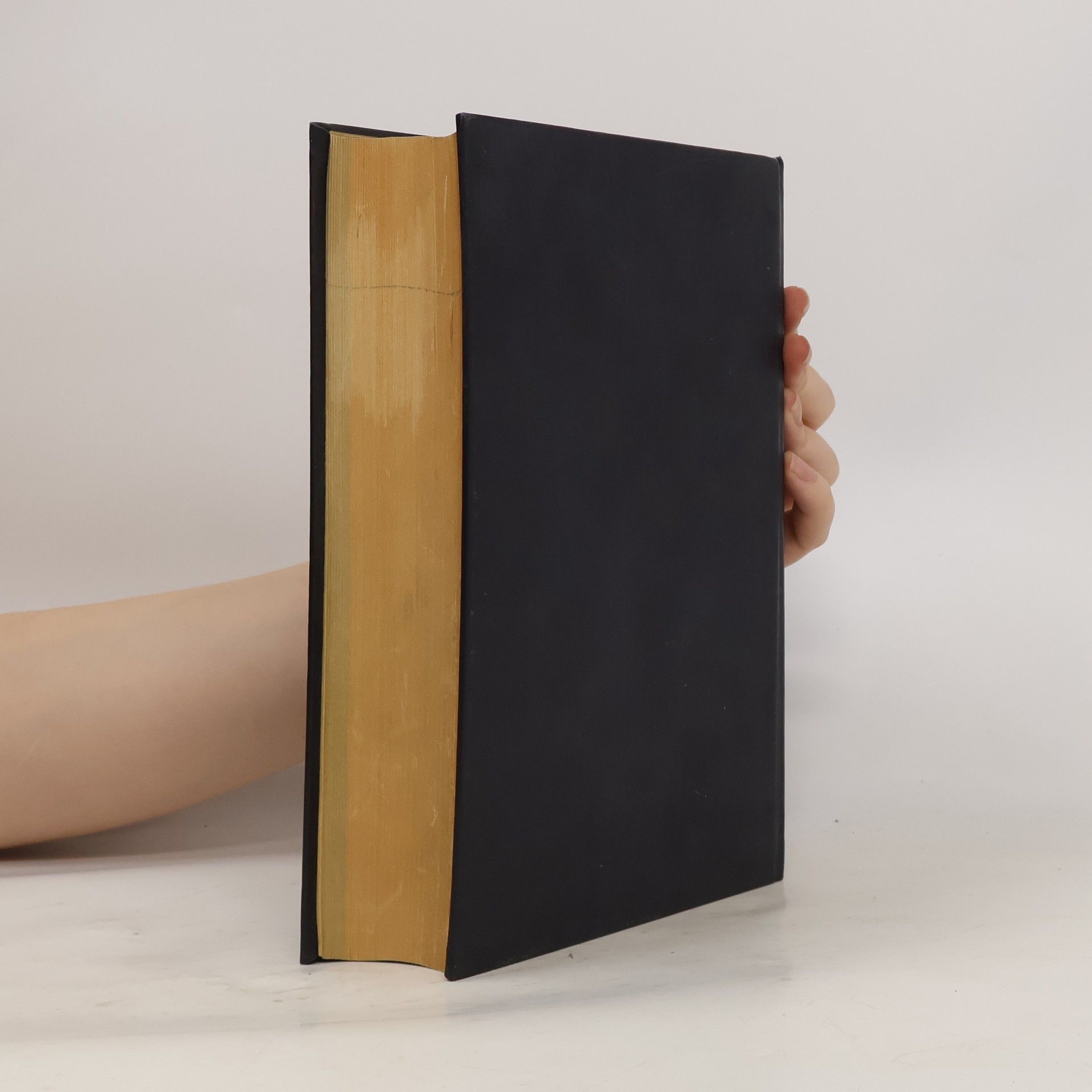 Autorenkollektiv Stahl im Hochbau. Handbuch für Entwurf, Berechnung und Ausführung von Stahlbauten