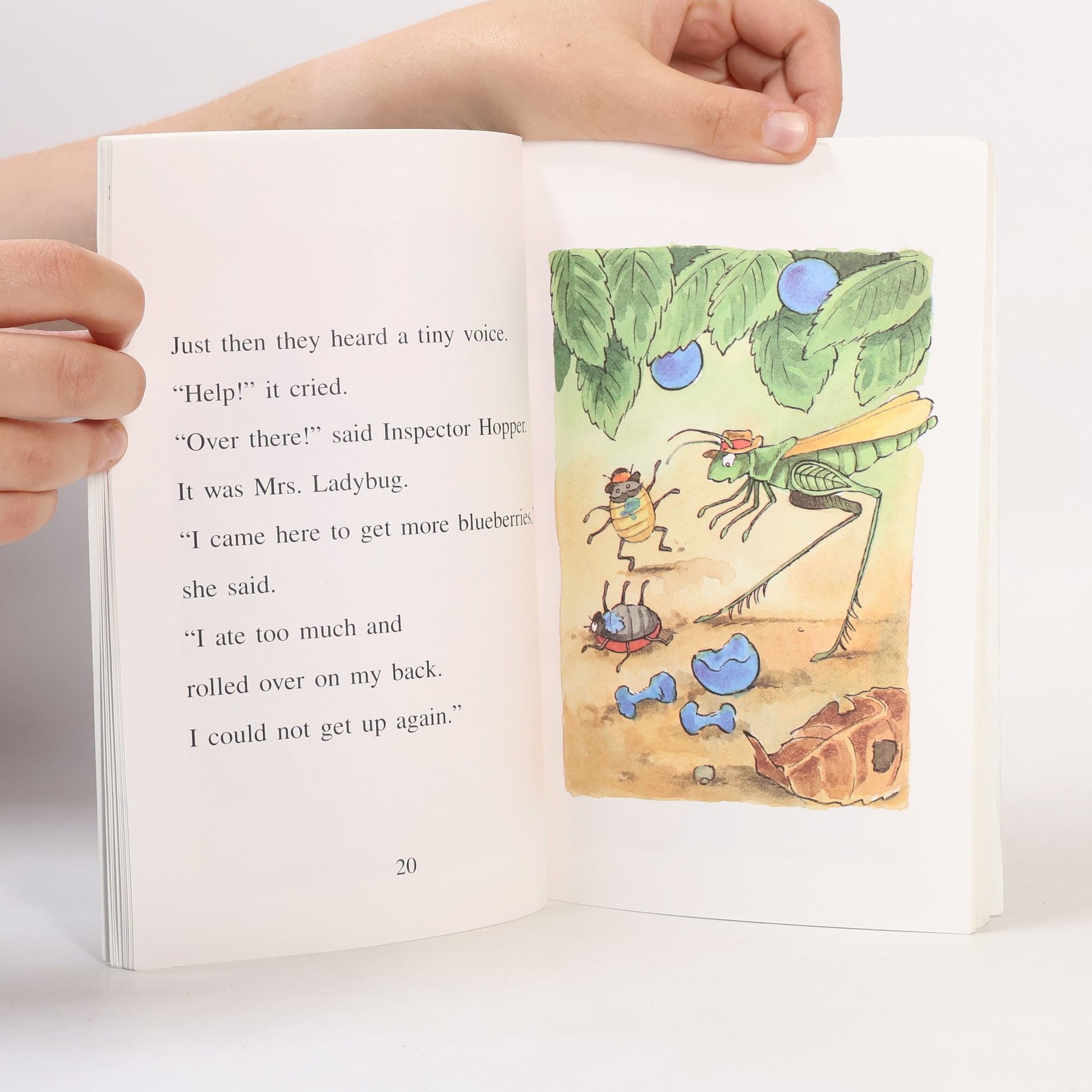 Doug Cushman An I Can Read Book - 2: Inspector Hopper