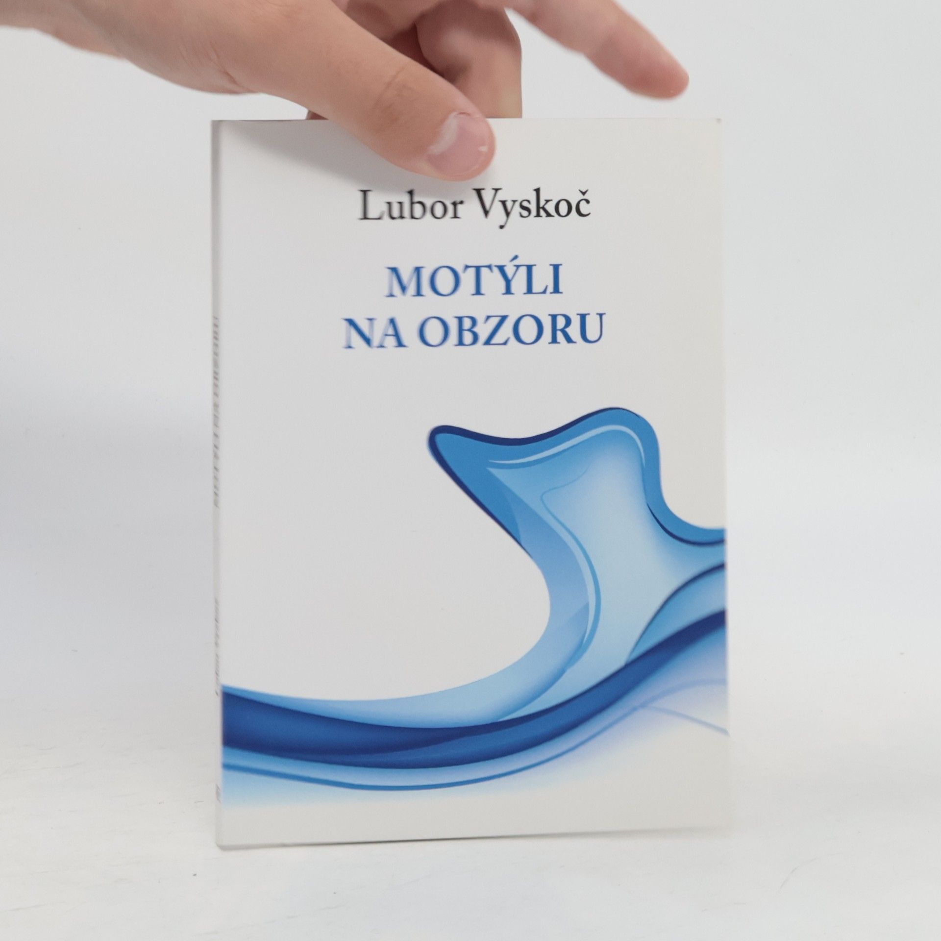 Lubor Vyskoč Motýli na obzoru