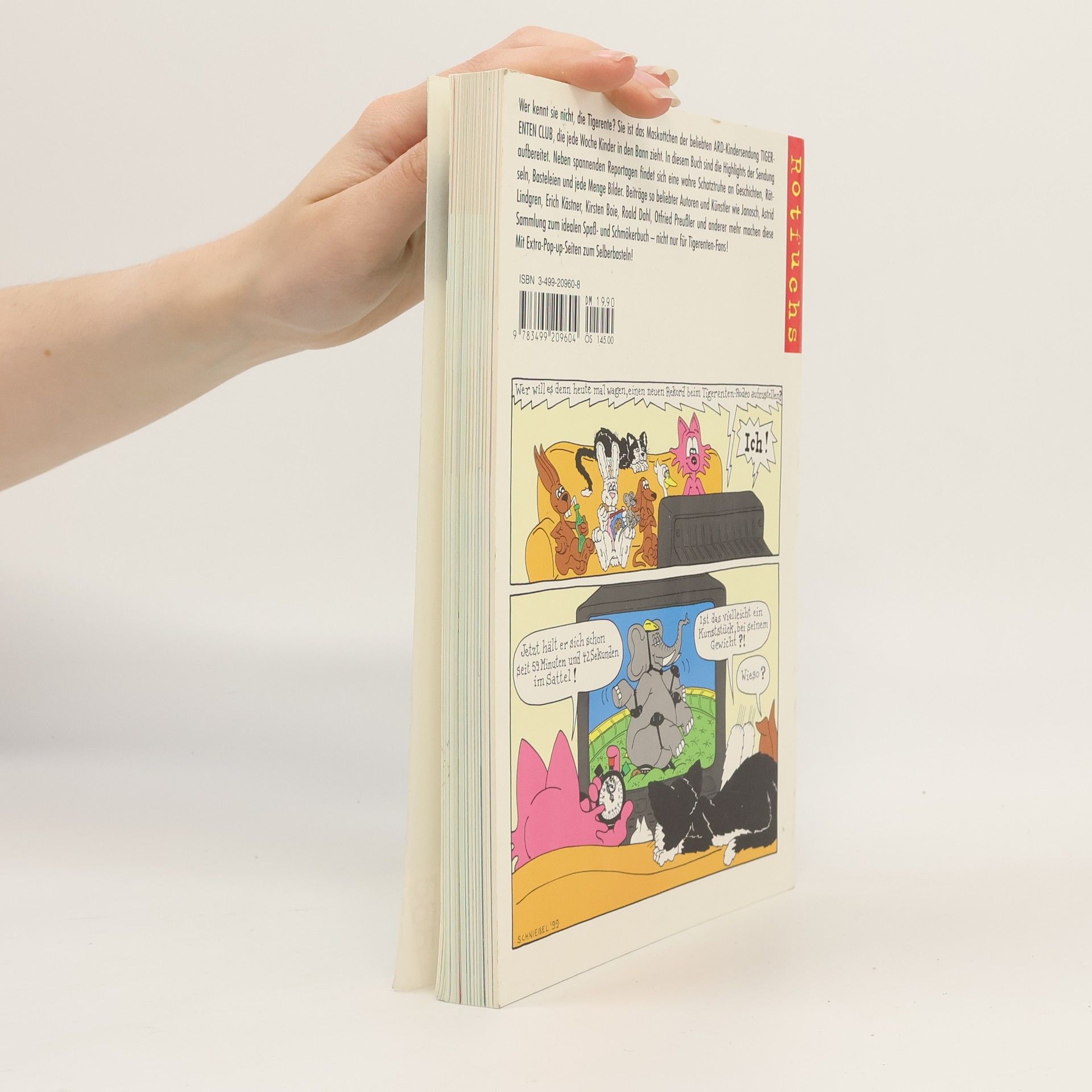 Susanne Koppe Das große Buch vom Tigerenten Club