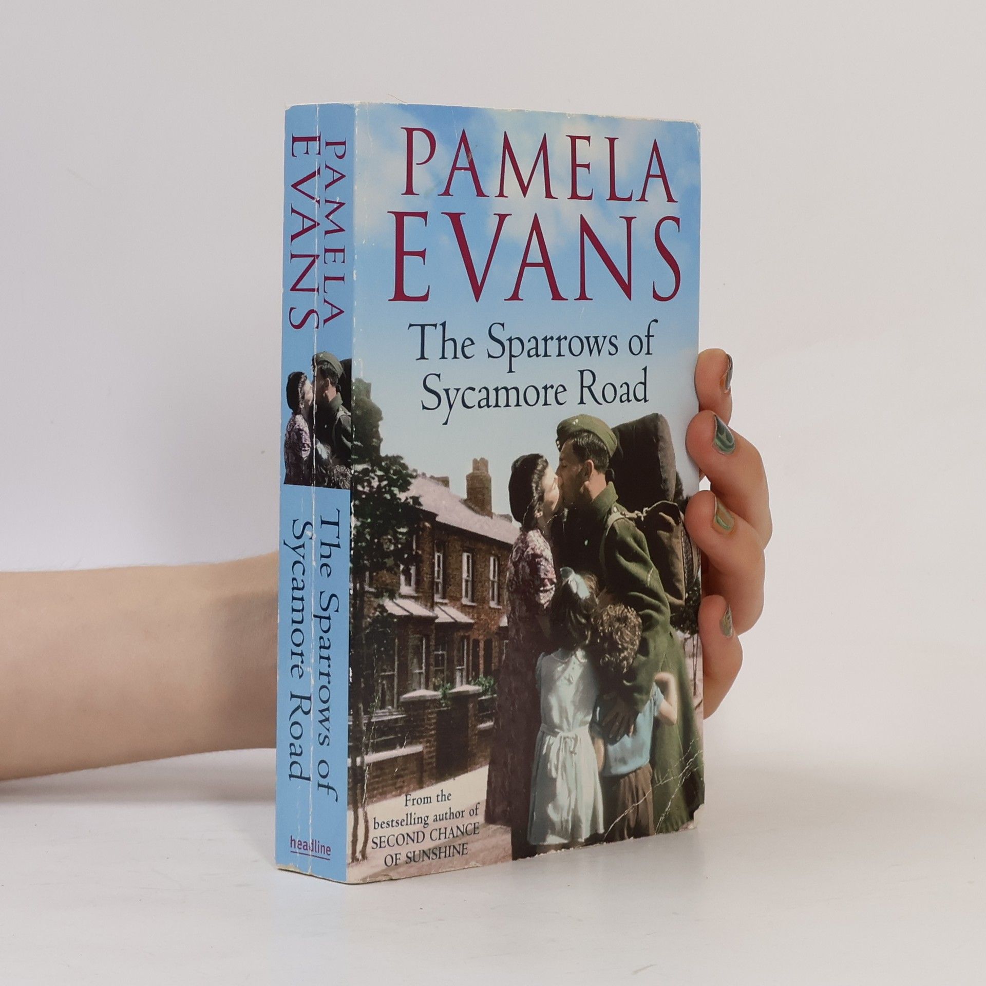 The Sparrows of Sycamore Road