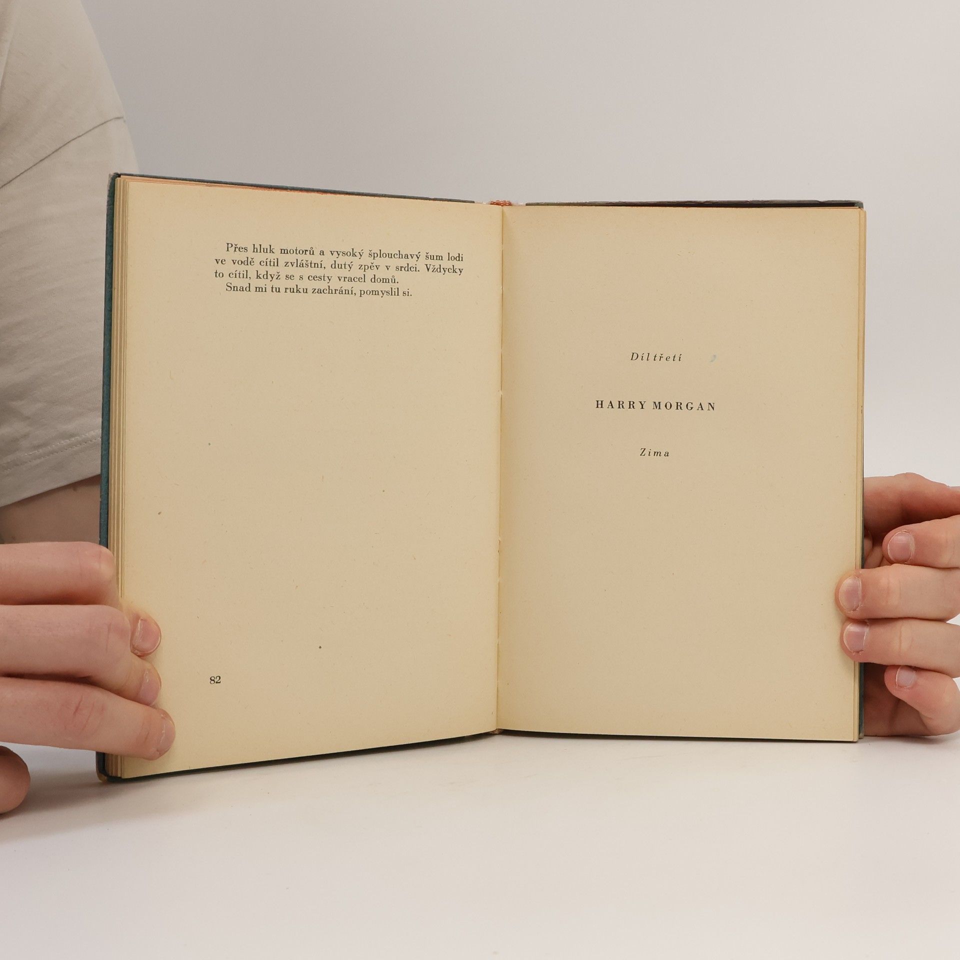 Ernest Hemingway Mít i nemít