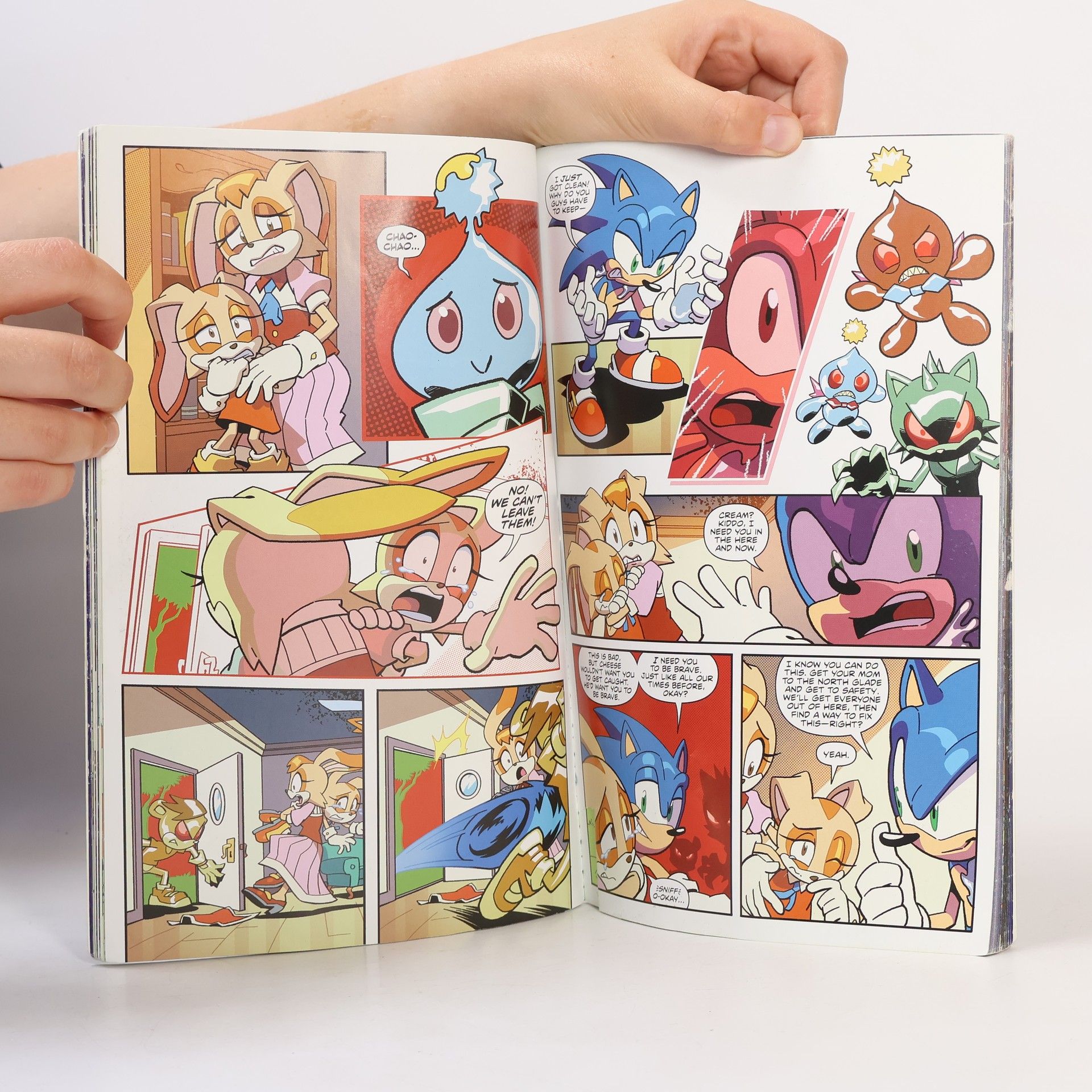 Fabian Rangel, Jr. Sonic The Hedgehog, Volume 5: Crisis City