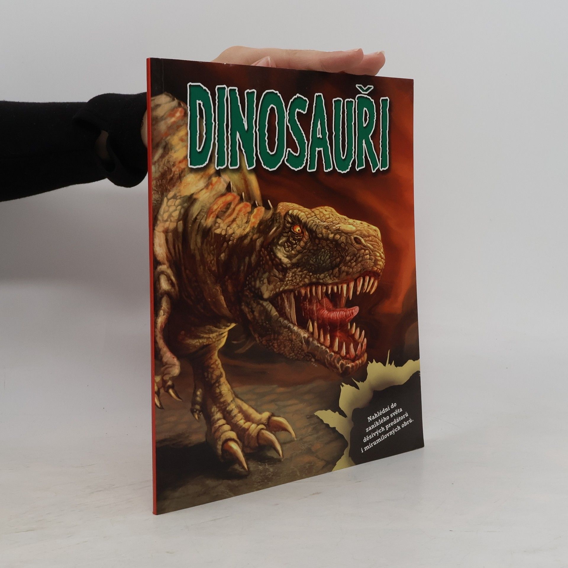 Various authors Dinosauři - kniha a modely a samolepky