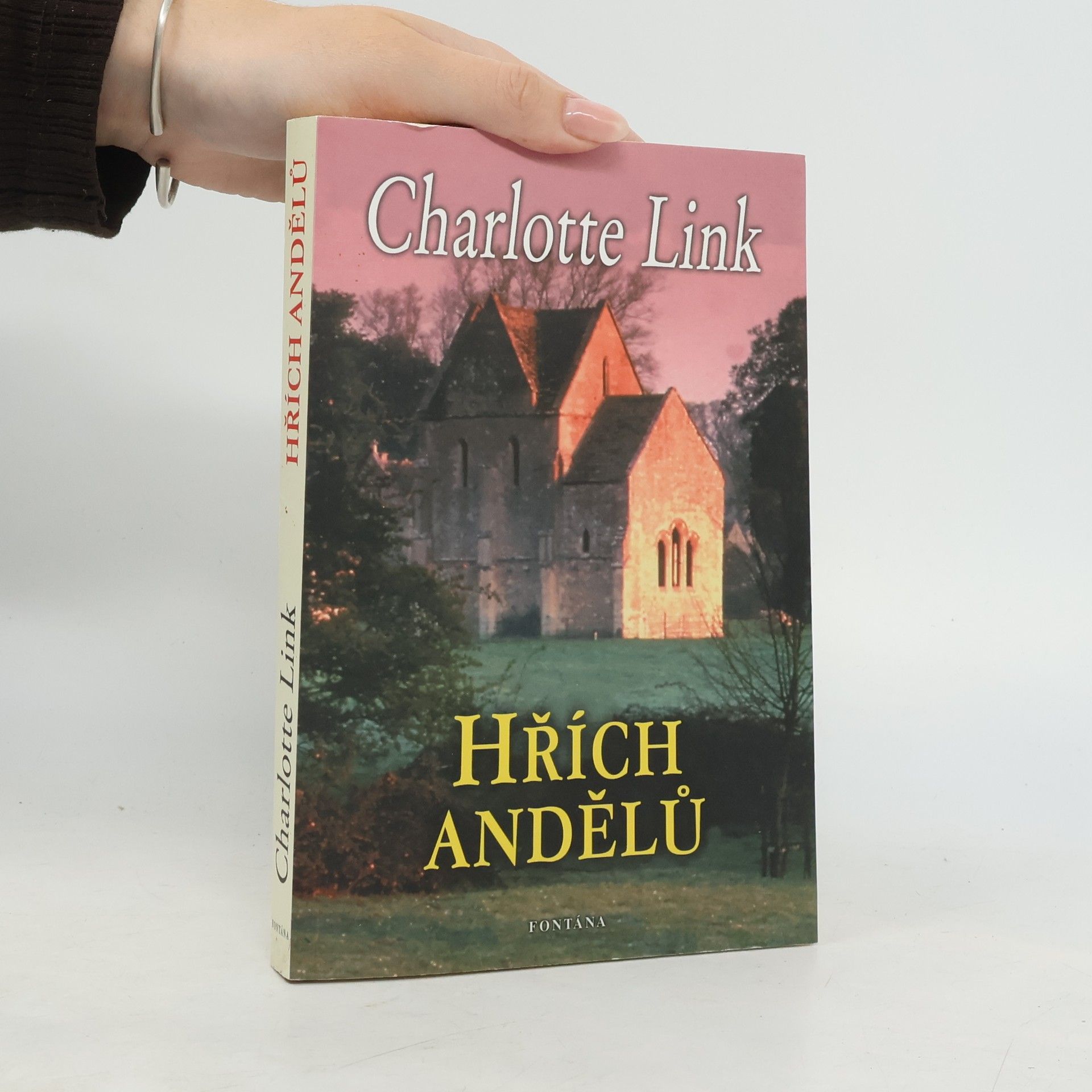 Charlotte Link Hřích andělů
