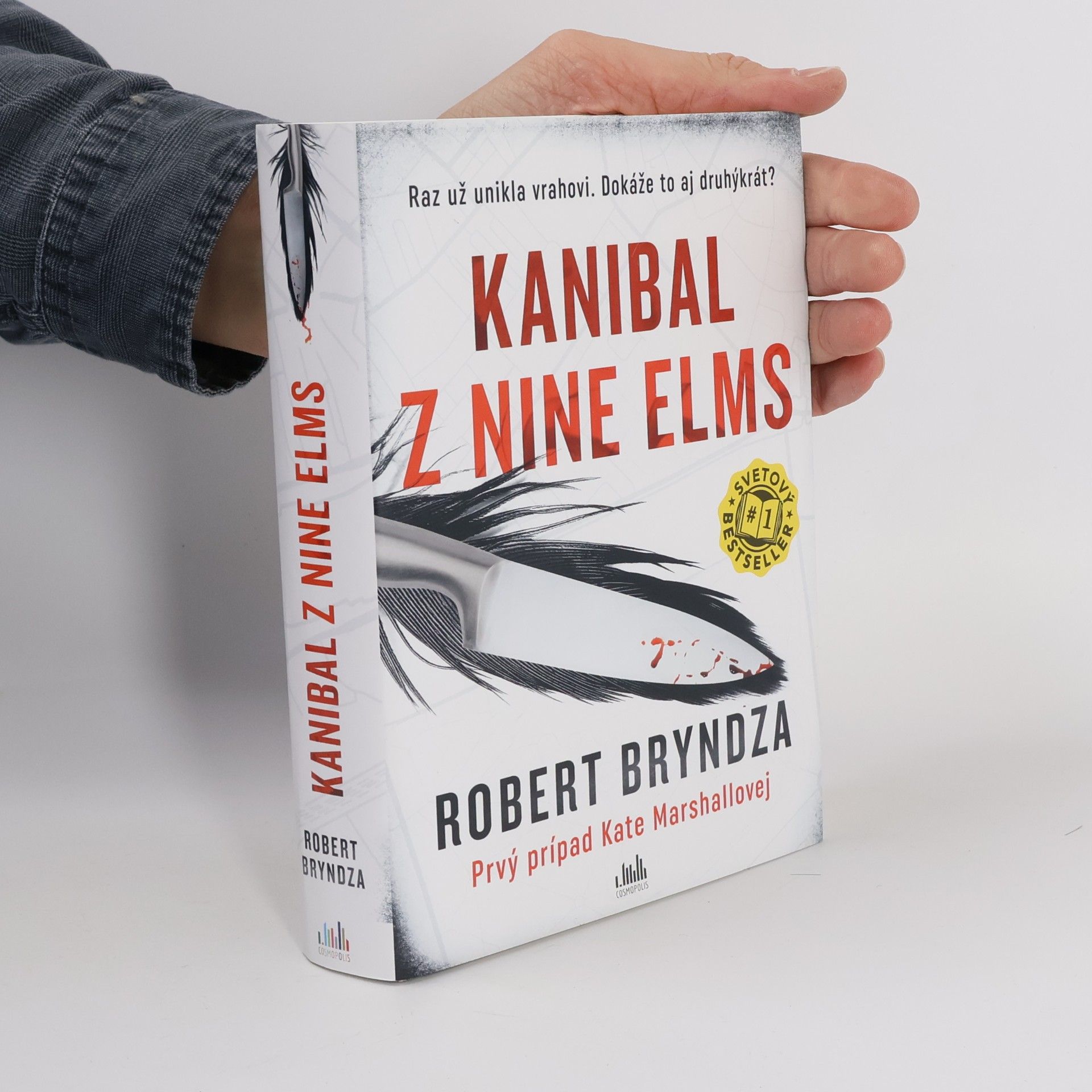 Robert Bryndza Kanibal z Nine Elms