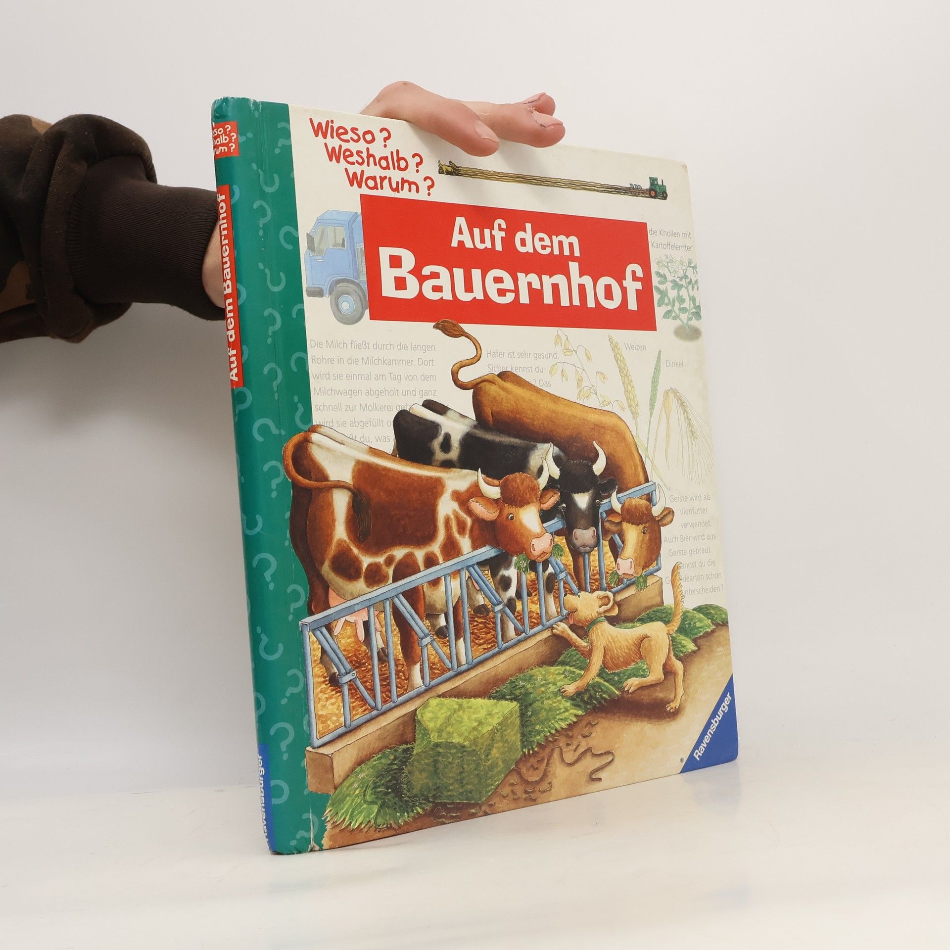 Constanza Droop Auf dem Bauernhof
