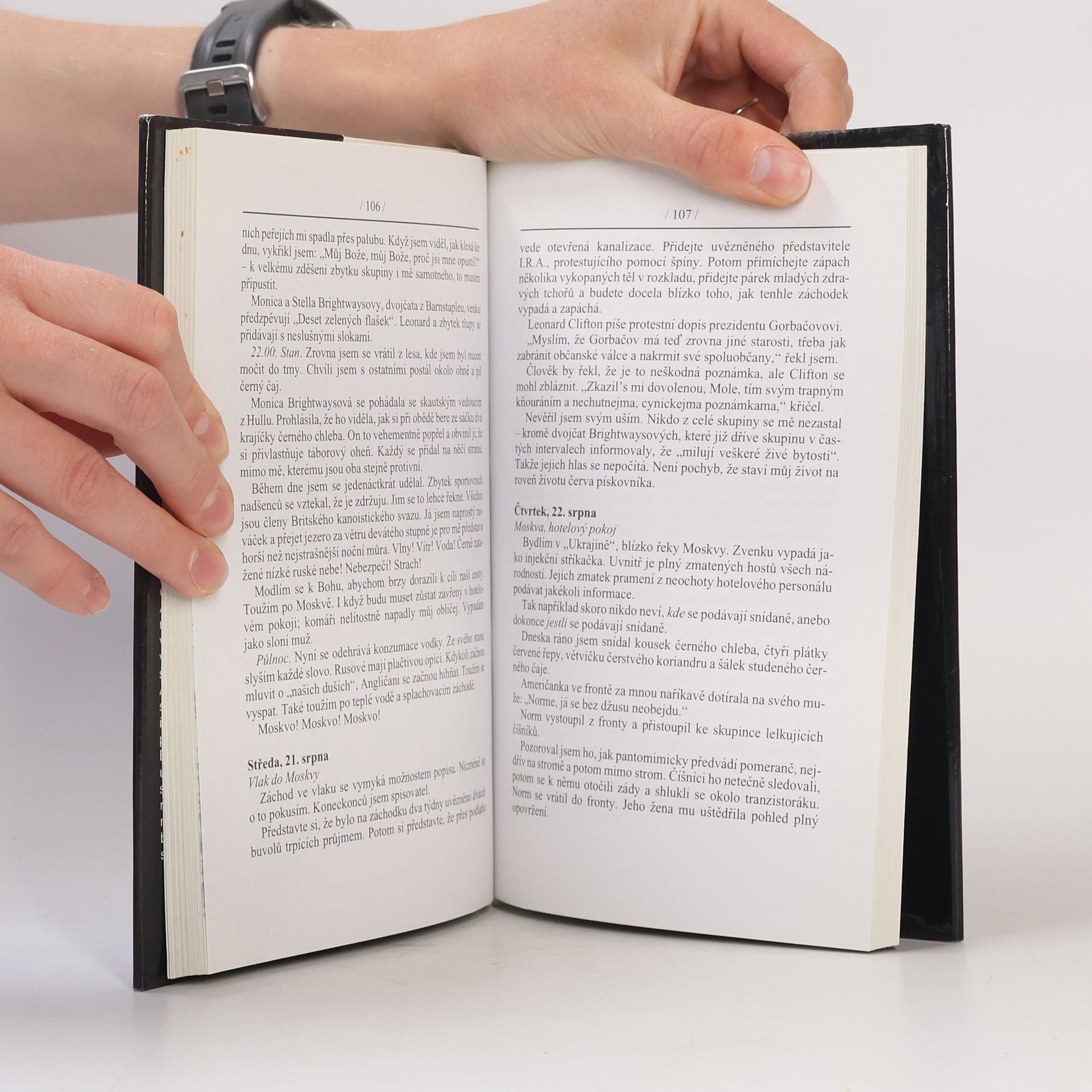 Sue Townsend Adrian Mole. Léta v divočině