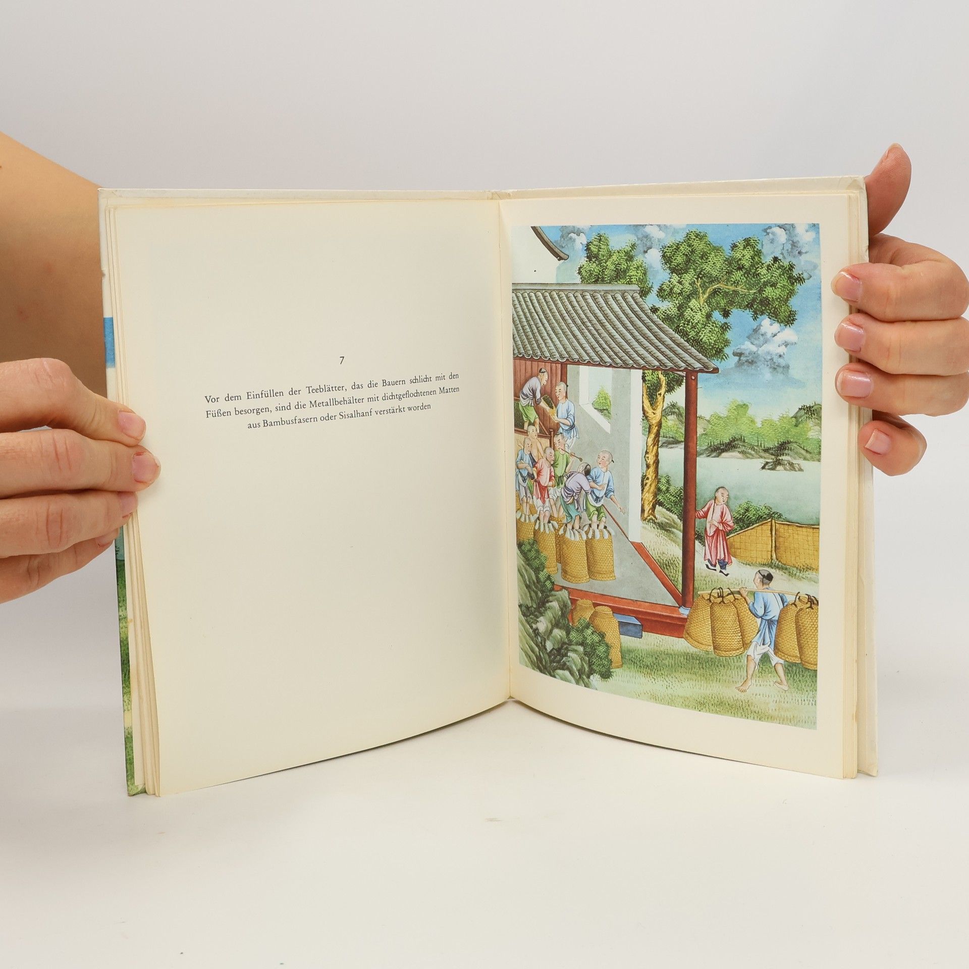 Hans G. Adrian Bilderbuch zum Tee