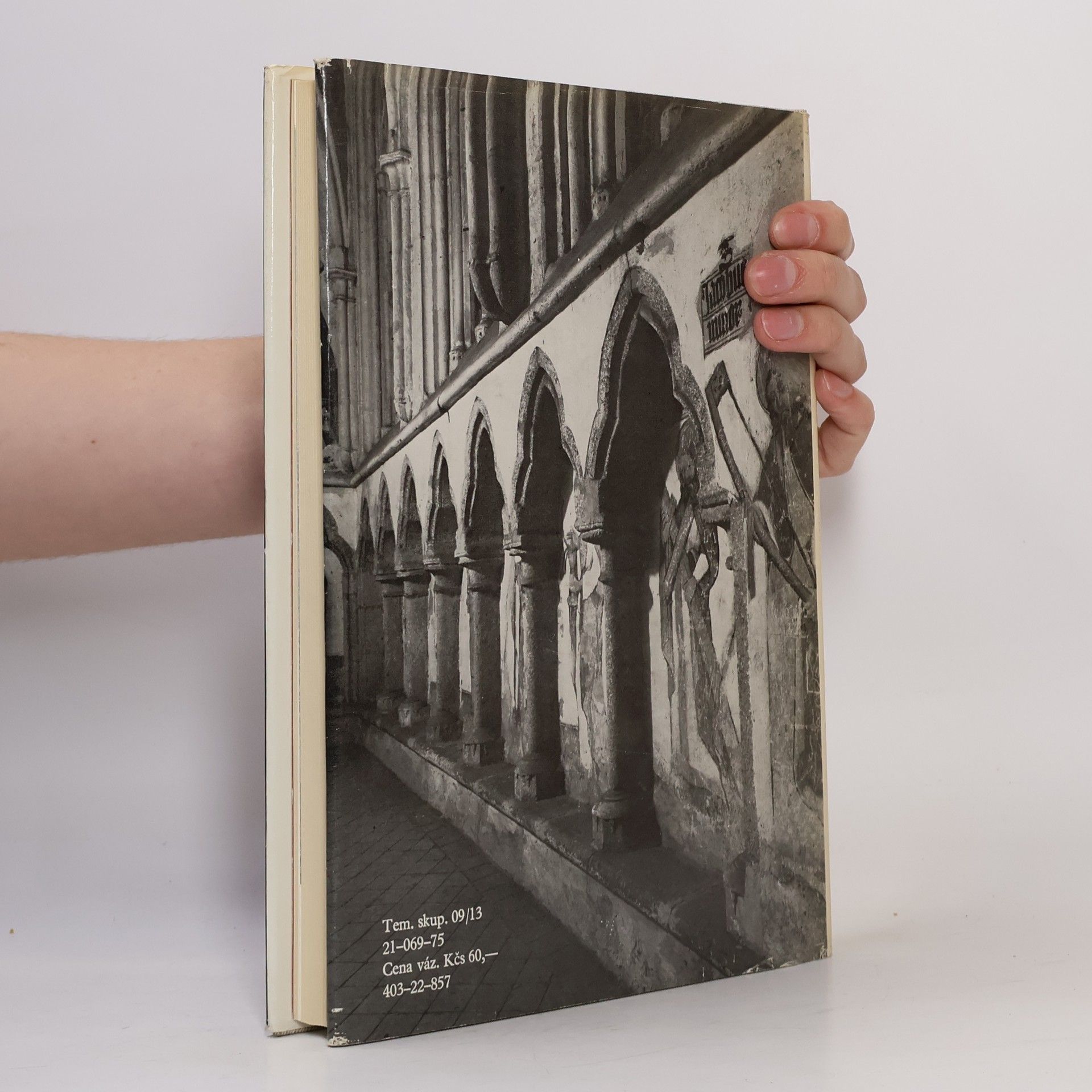 Jiří Kuthan Gotická architektura v jižních Čechách