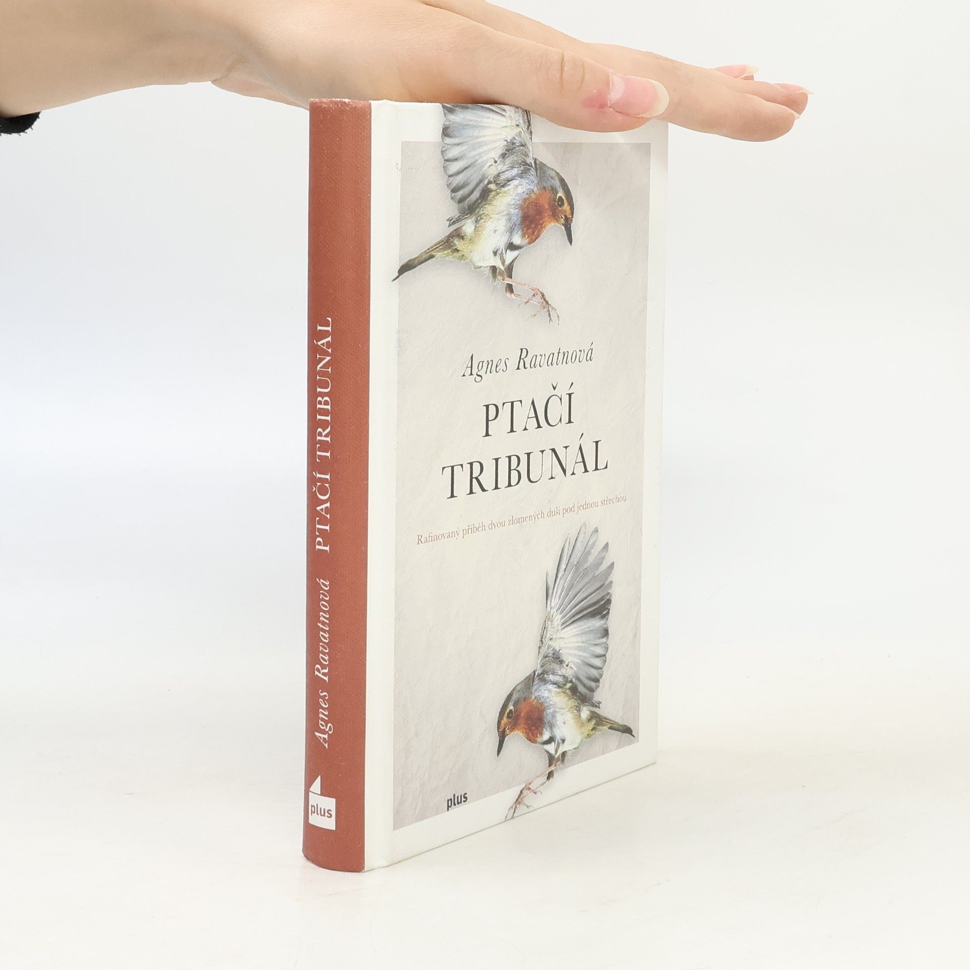Agnes Ravatn Ptačí tribunál