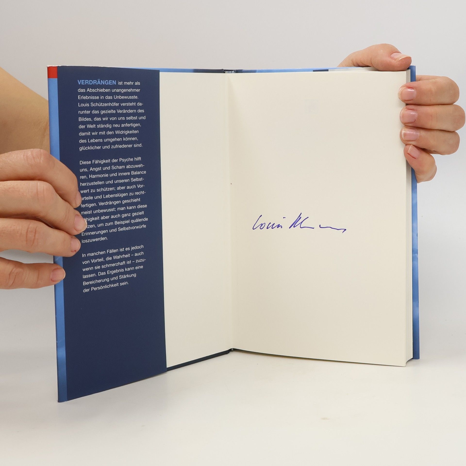 Louis Schützenhöfer Die Kunst des Verdrängens