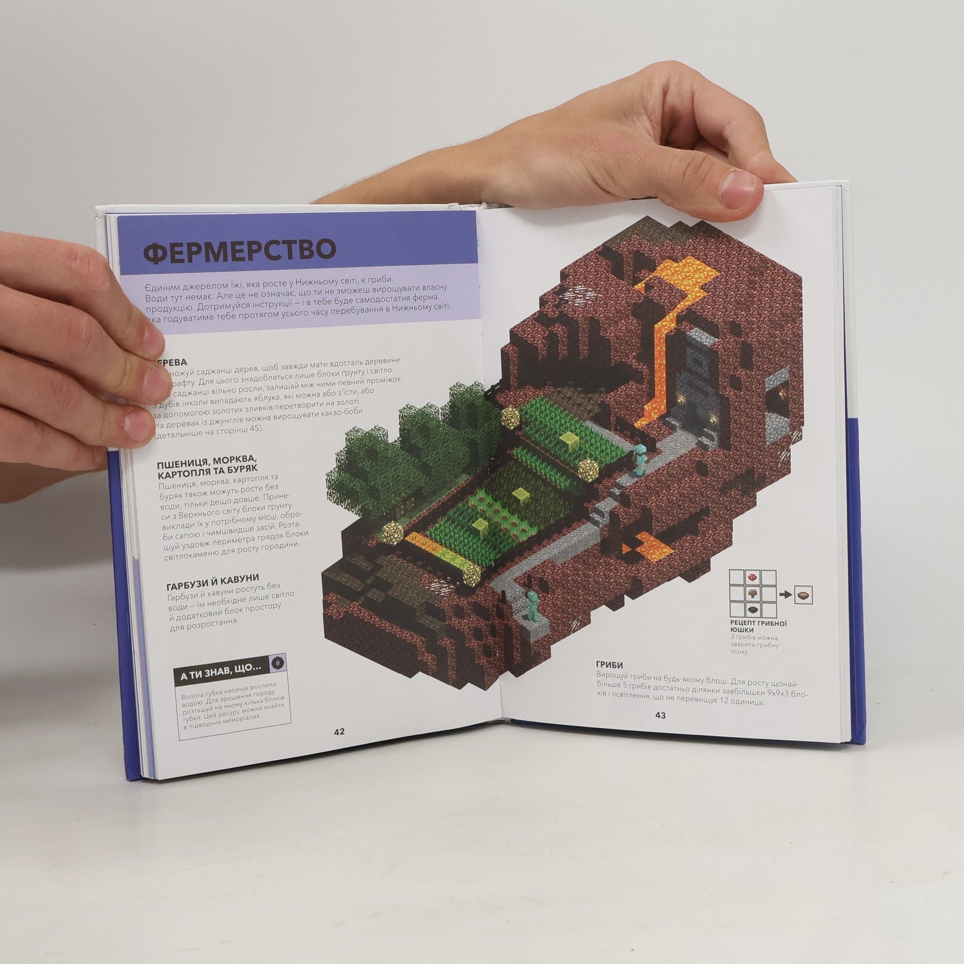 Stephanie Milton MINECRAFT. Dovidnyk Nyzhn'oho svitu i Krayu